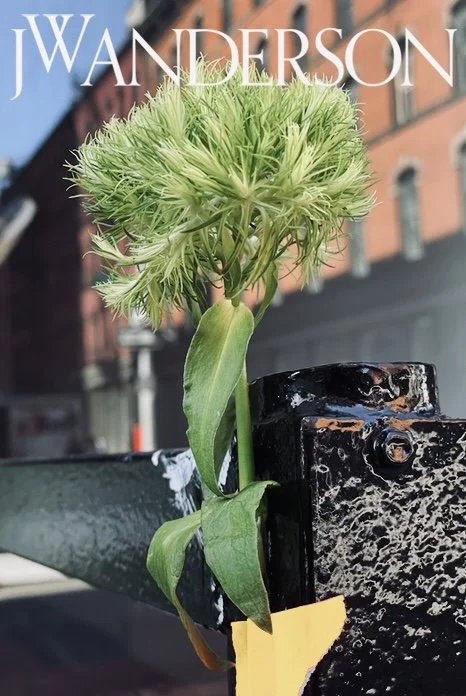 Screen Shot 2021-06-30 at 2.29.42 PM.jpg