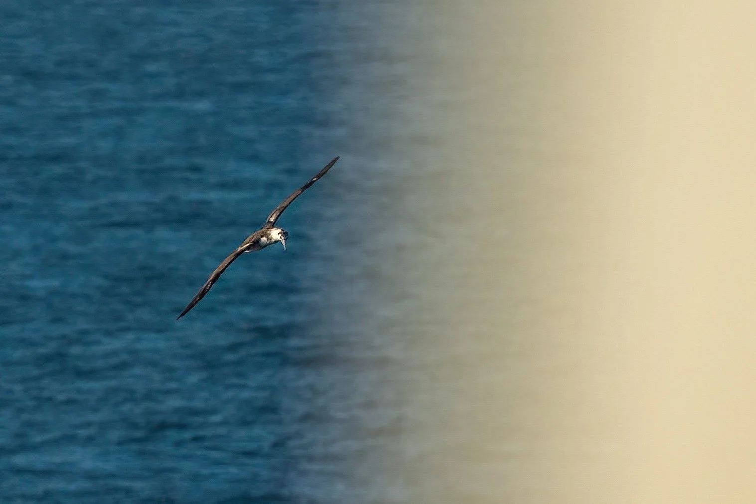 Looking in our wake for fish. 