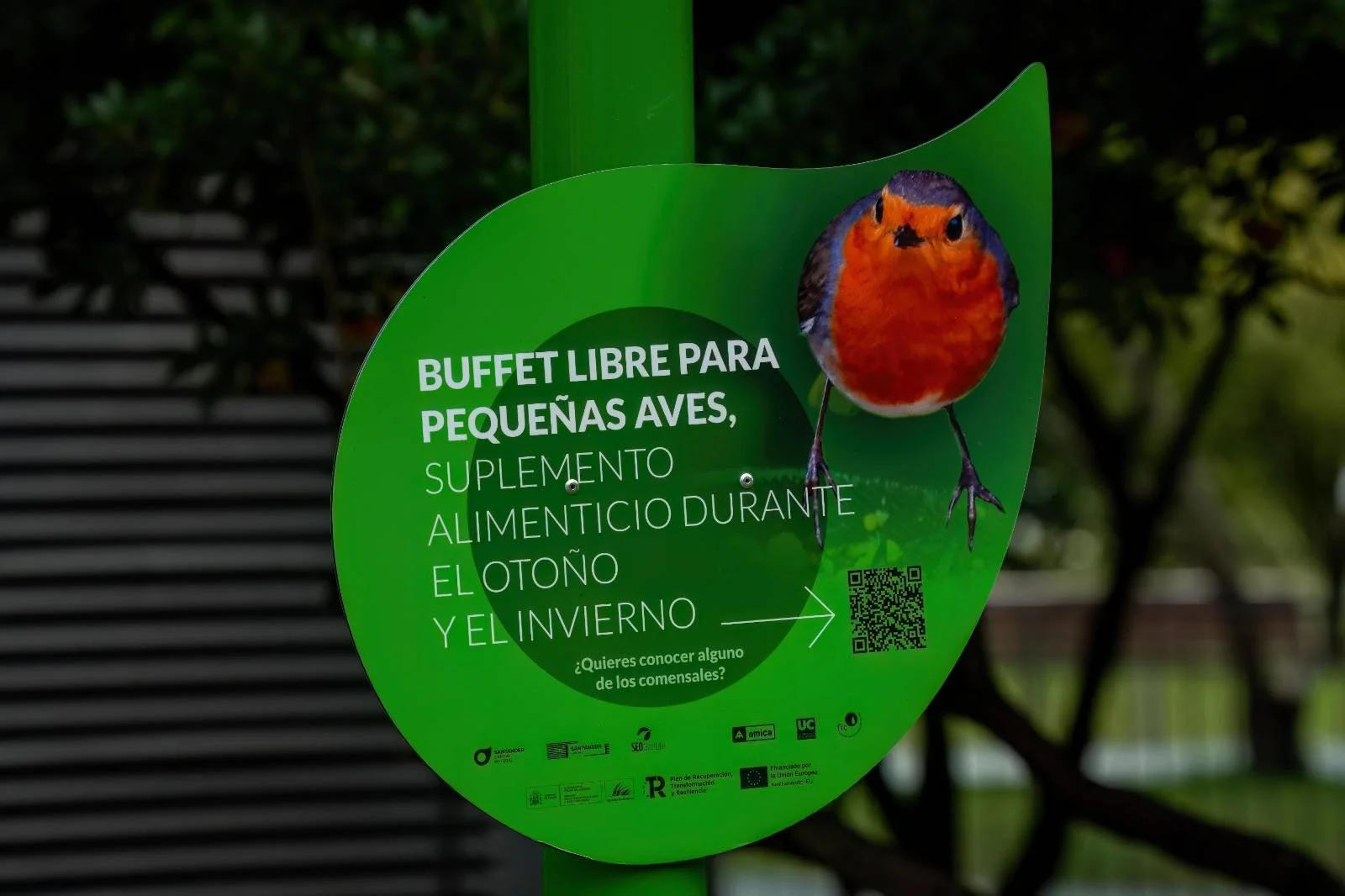 Santander looknig after small birds in Autumn and winter