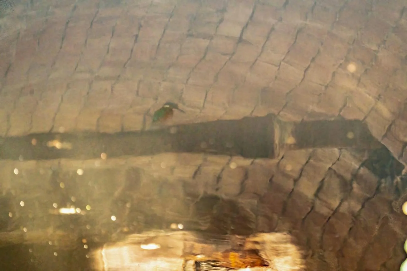 Reflection when perched under a tunnel
