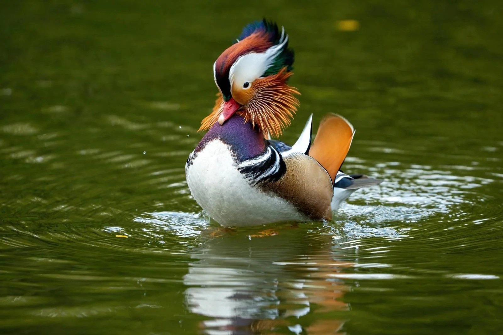 And again on October 2025