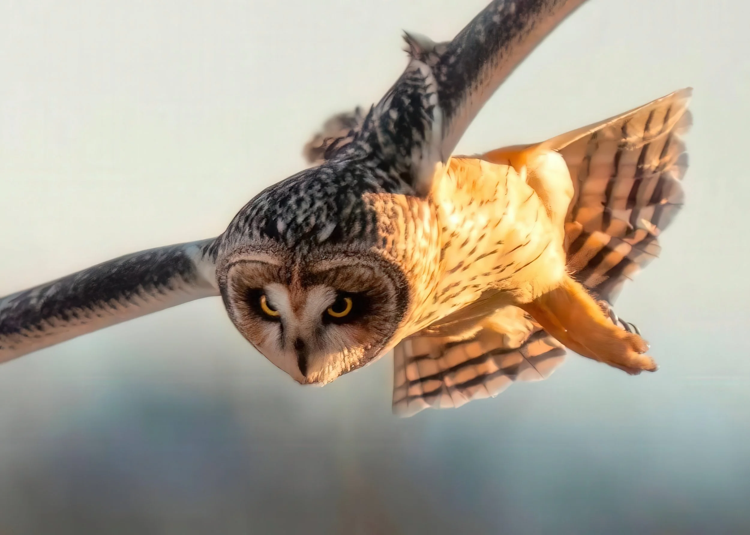 May have spotted dinner. 