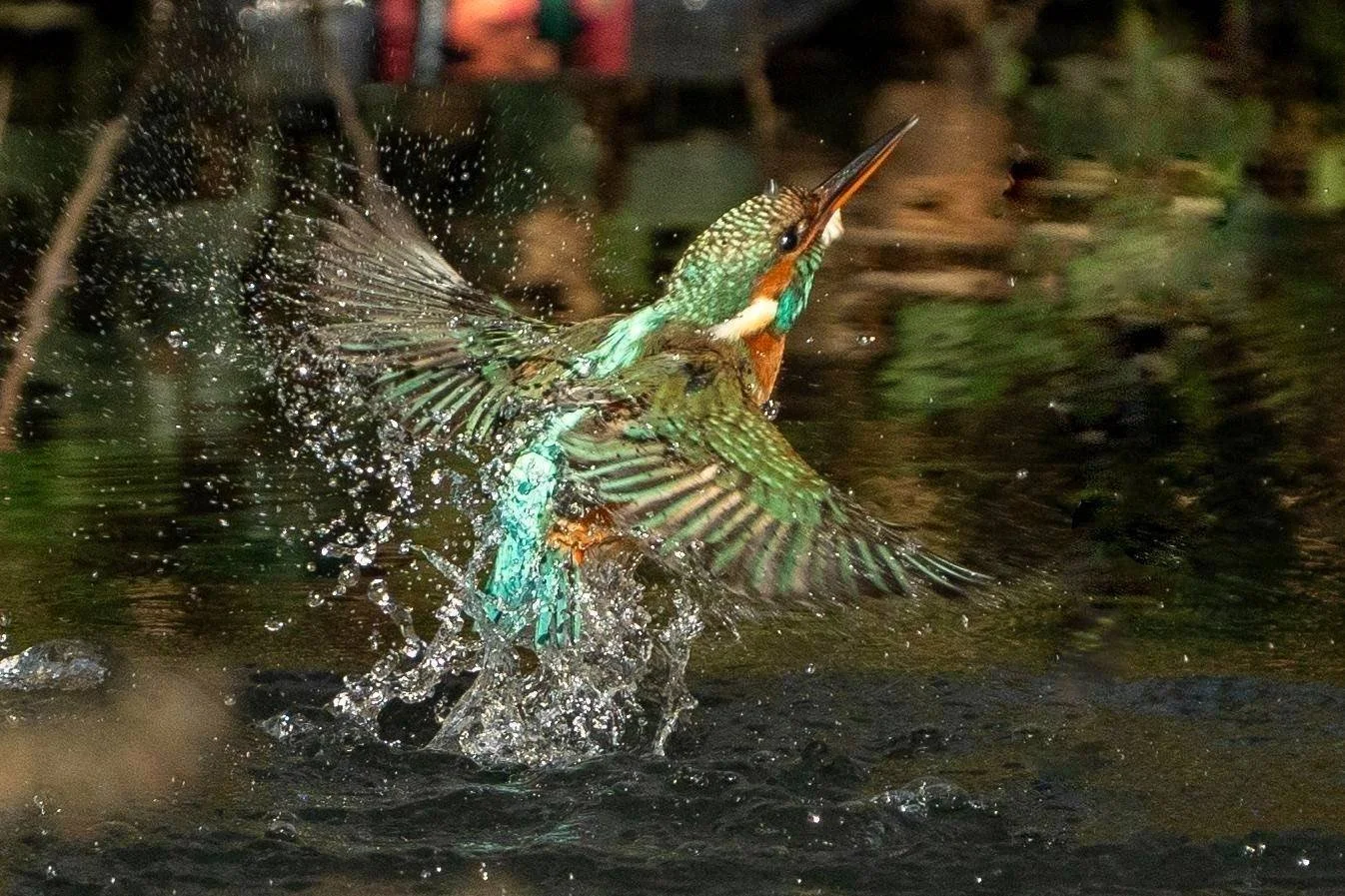 Having a bath March 2024
