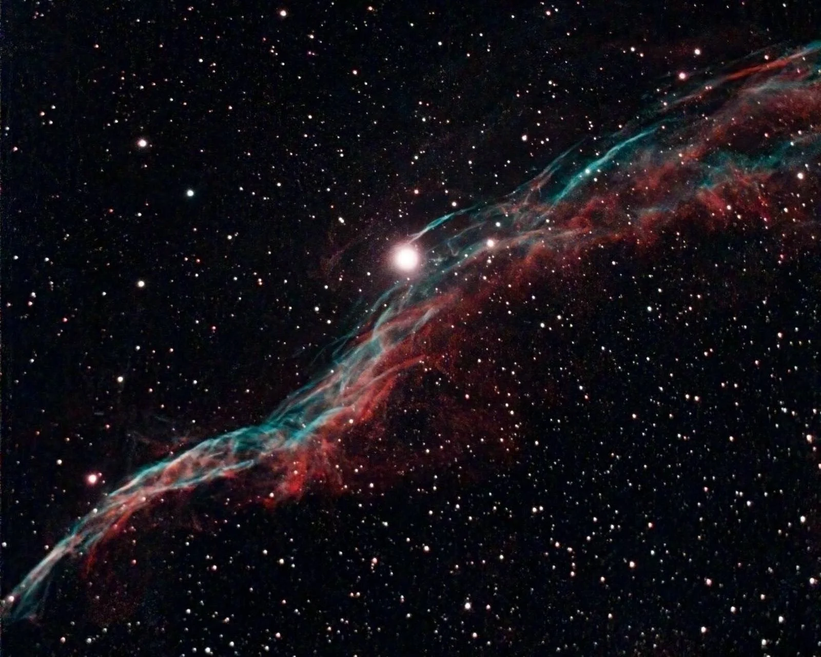 THe Western Veil or Witches Broom