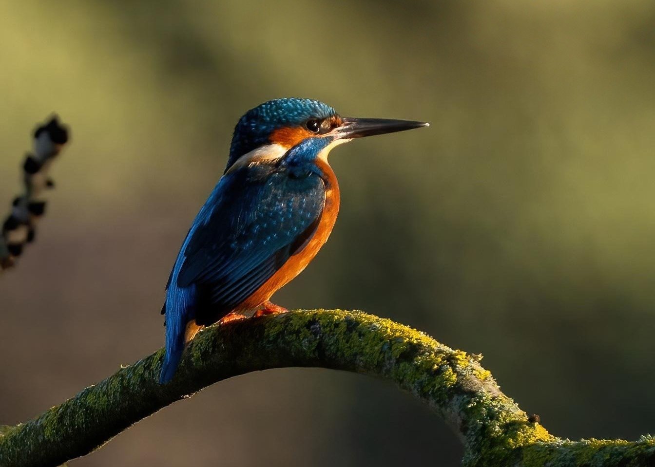 Dark blue out of the sun