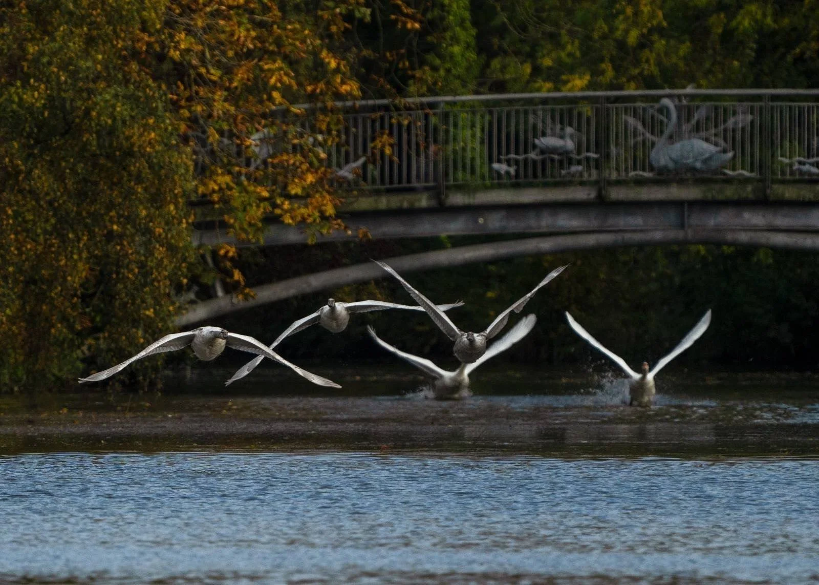 Flying practice November 2024