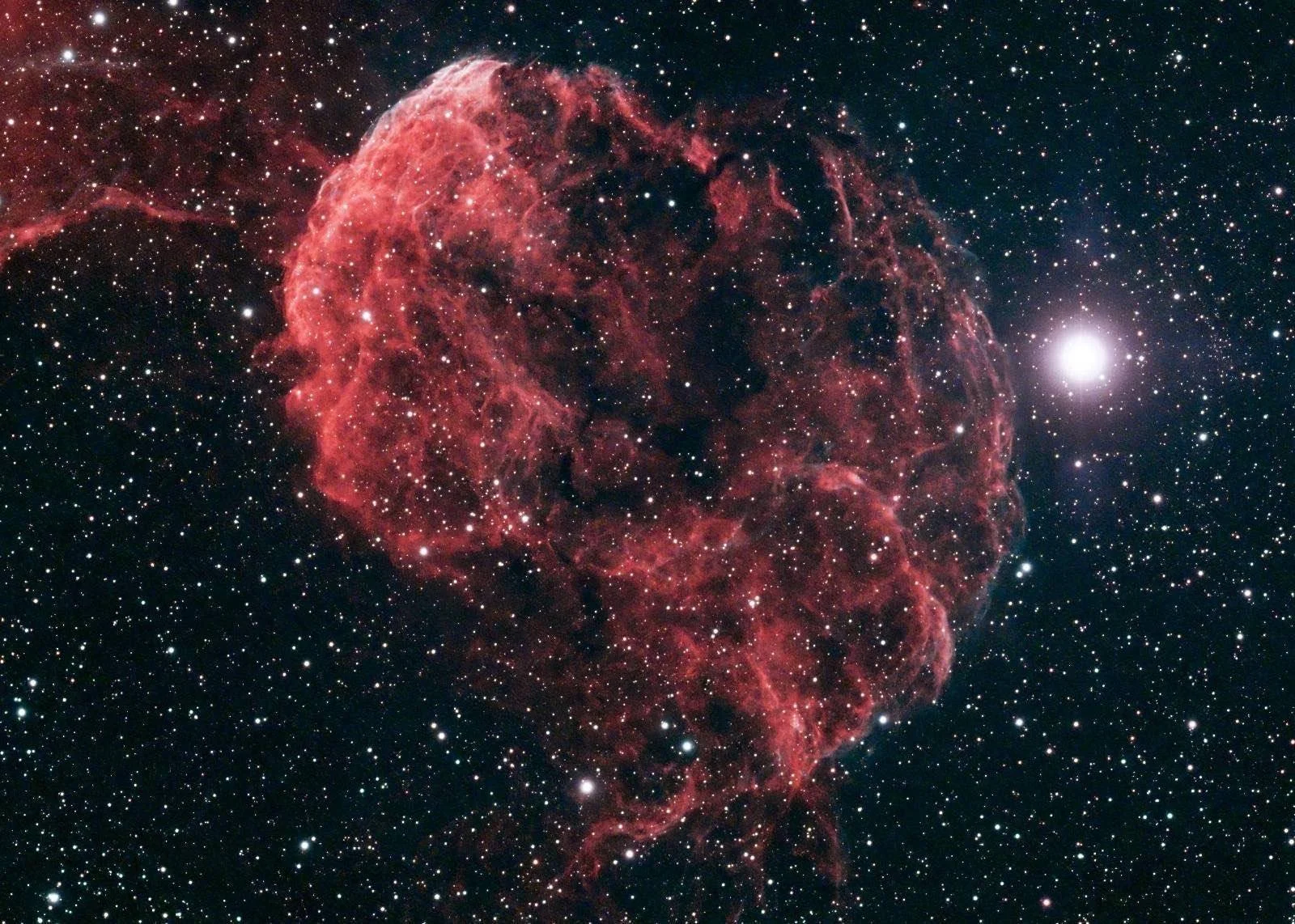 The Jellyfish in Gemini