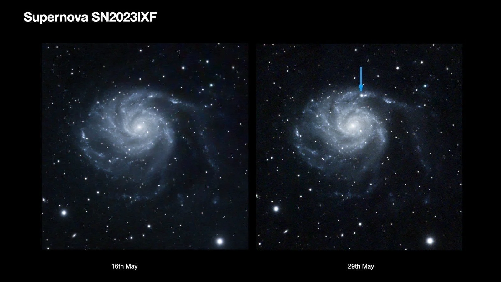 Supernova in the Pinwheel Galaxy 2022