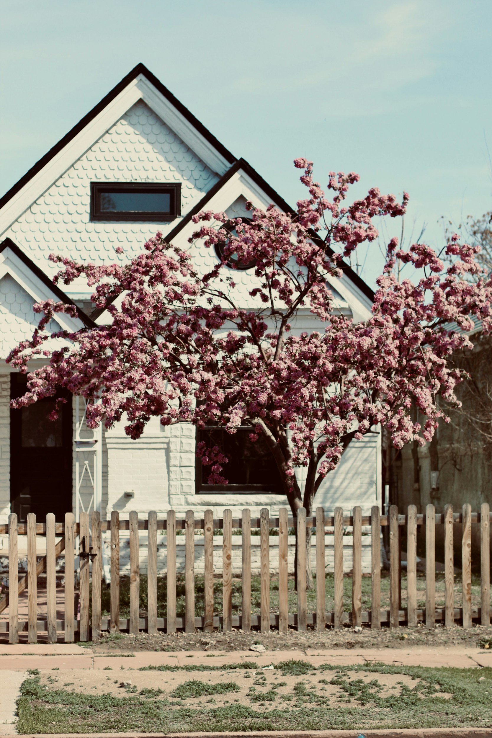 A house with white siding and black roof, a pink flowering tree in front, wooden fence, and a sidewalk.