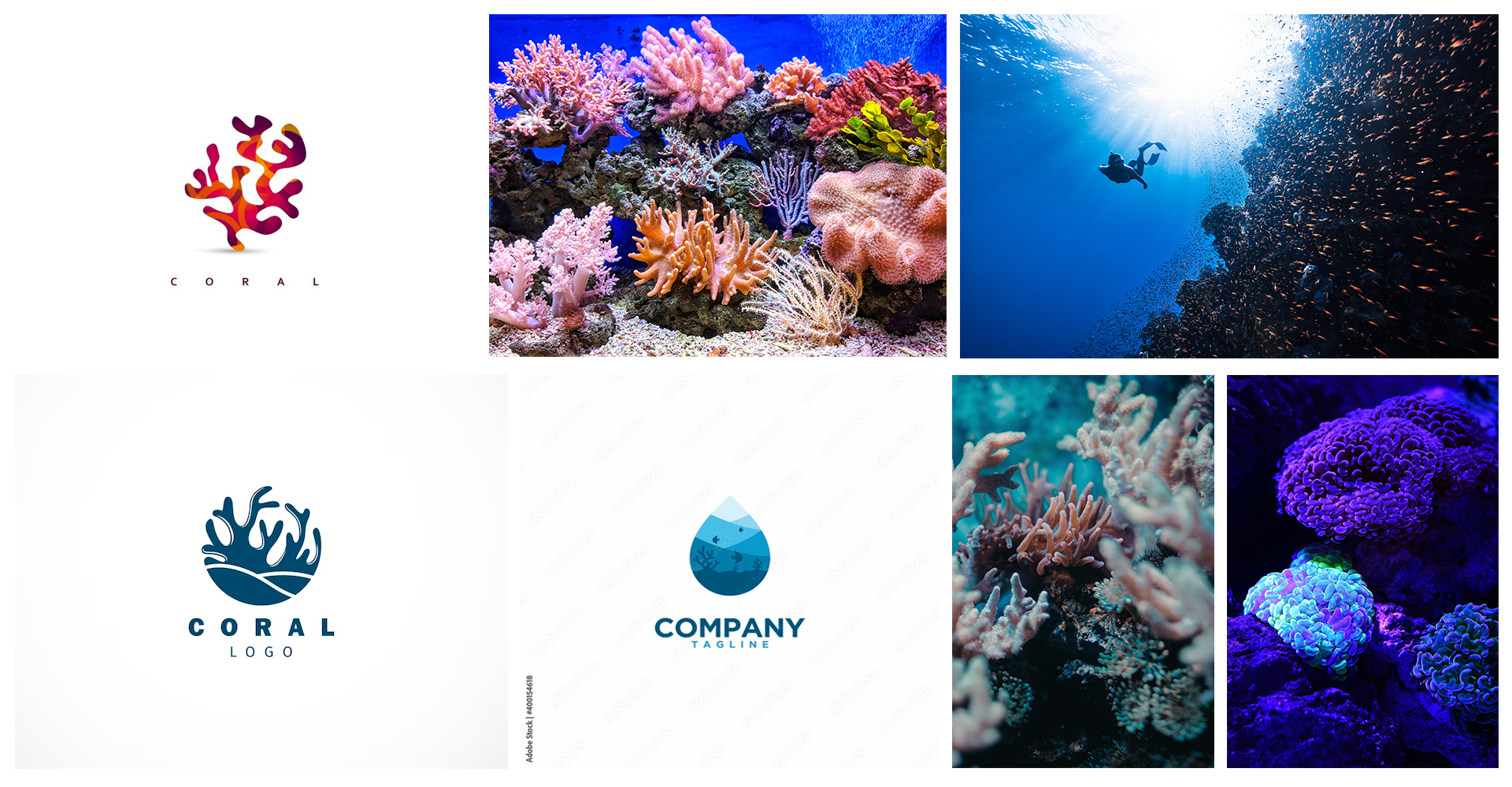 Moodboard for Coral Crusaders brand, including vibrant images of coral, coral style logos, and more.
