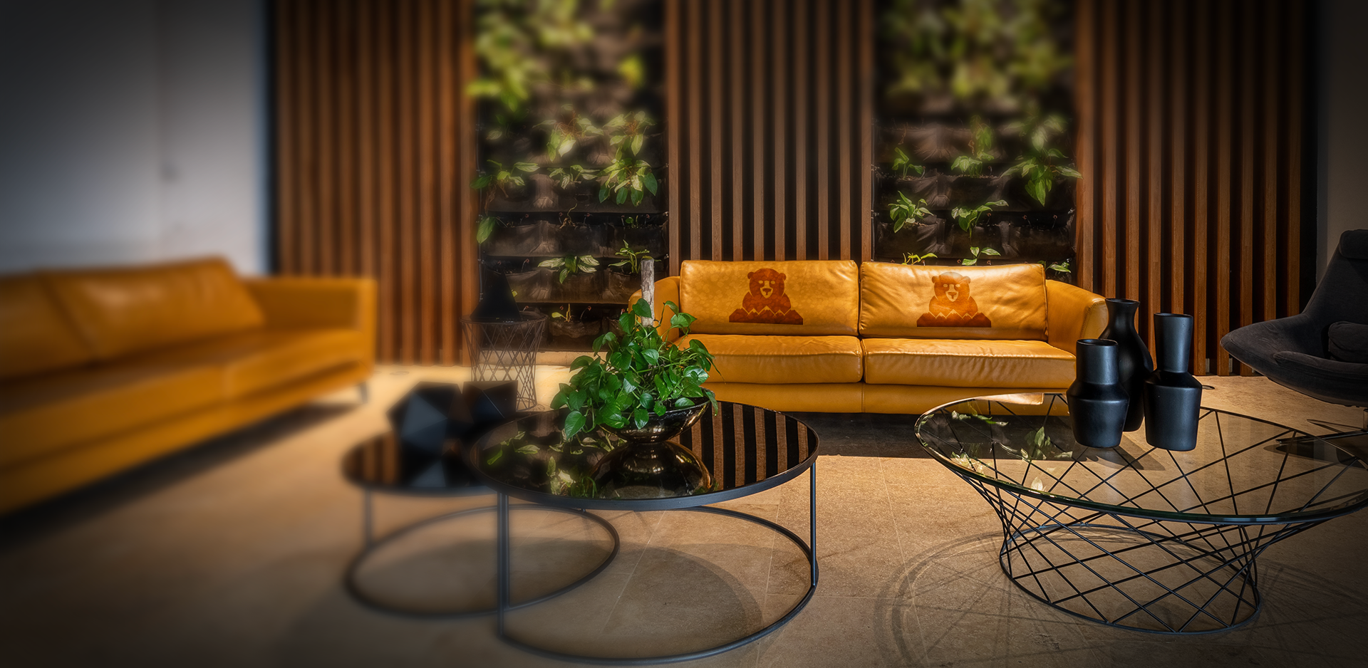 Wildthings Studio with branded couches - Furniture