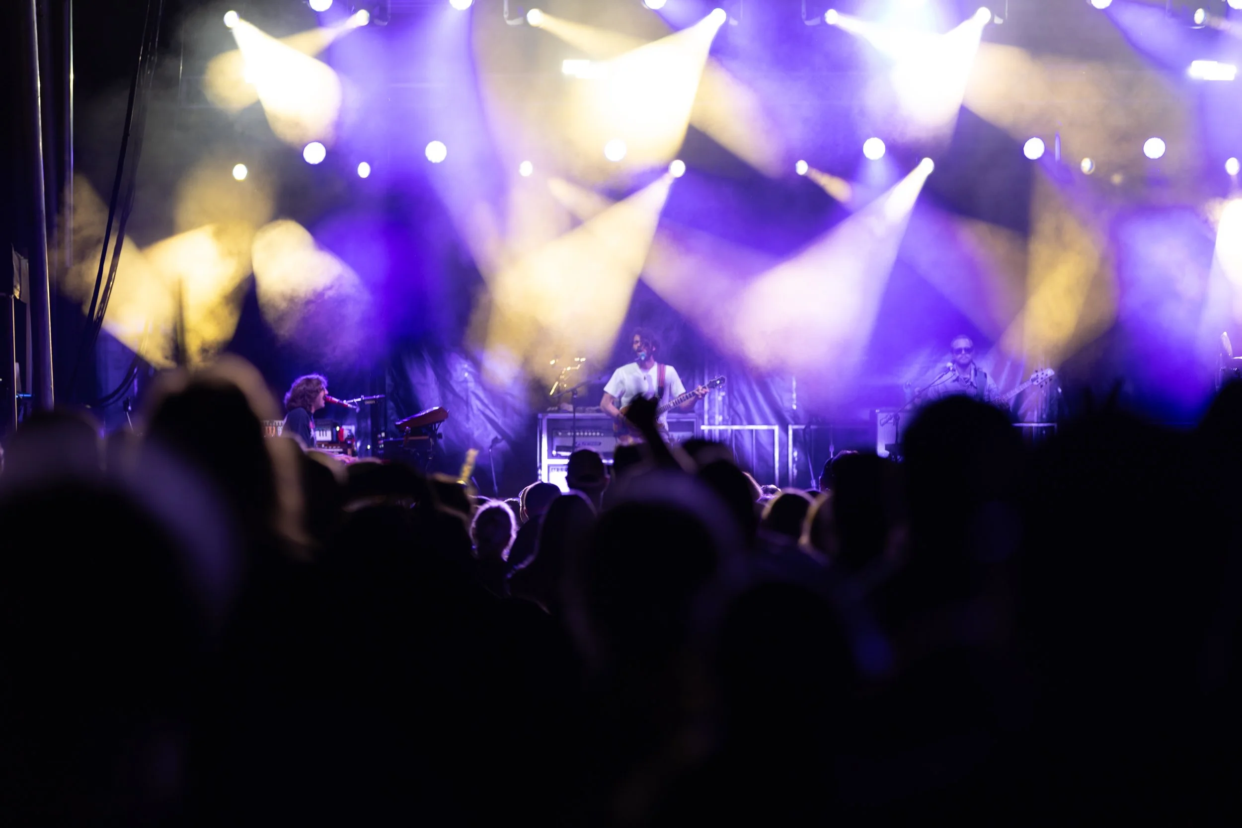 Goose At Hancher-4.jpg