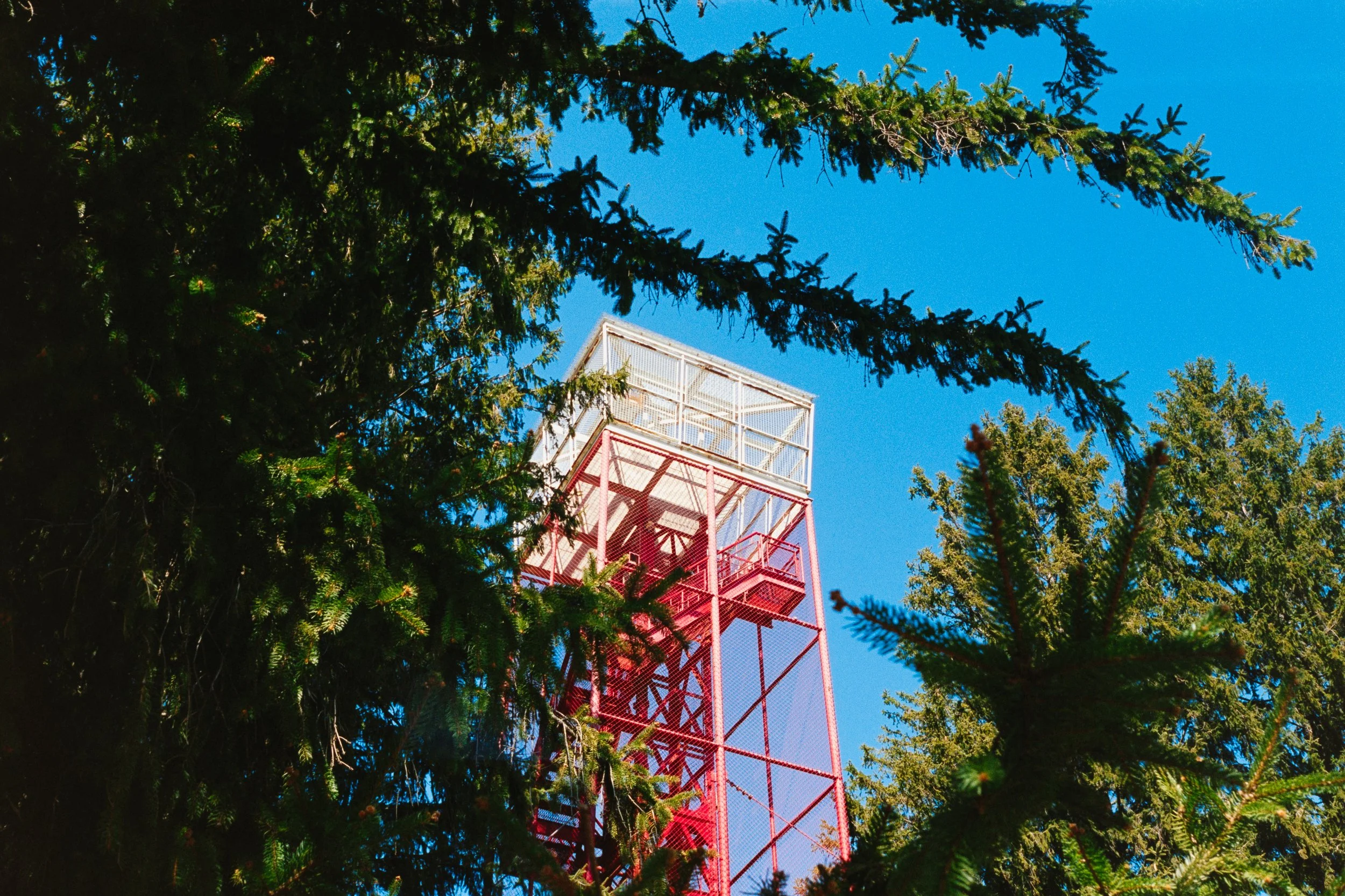 Portfolio 4-14-26-18.jpg