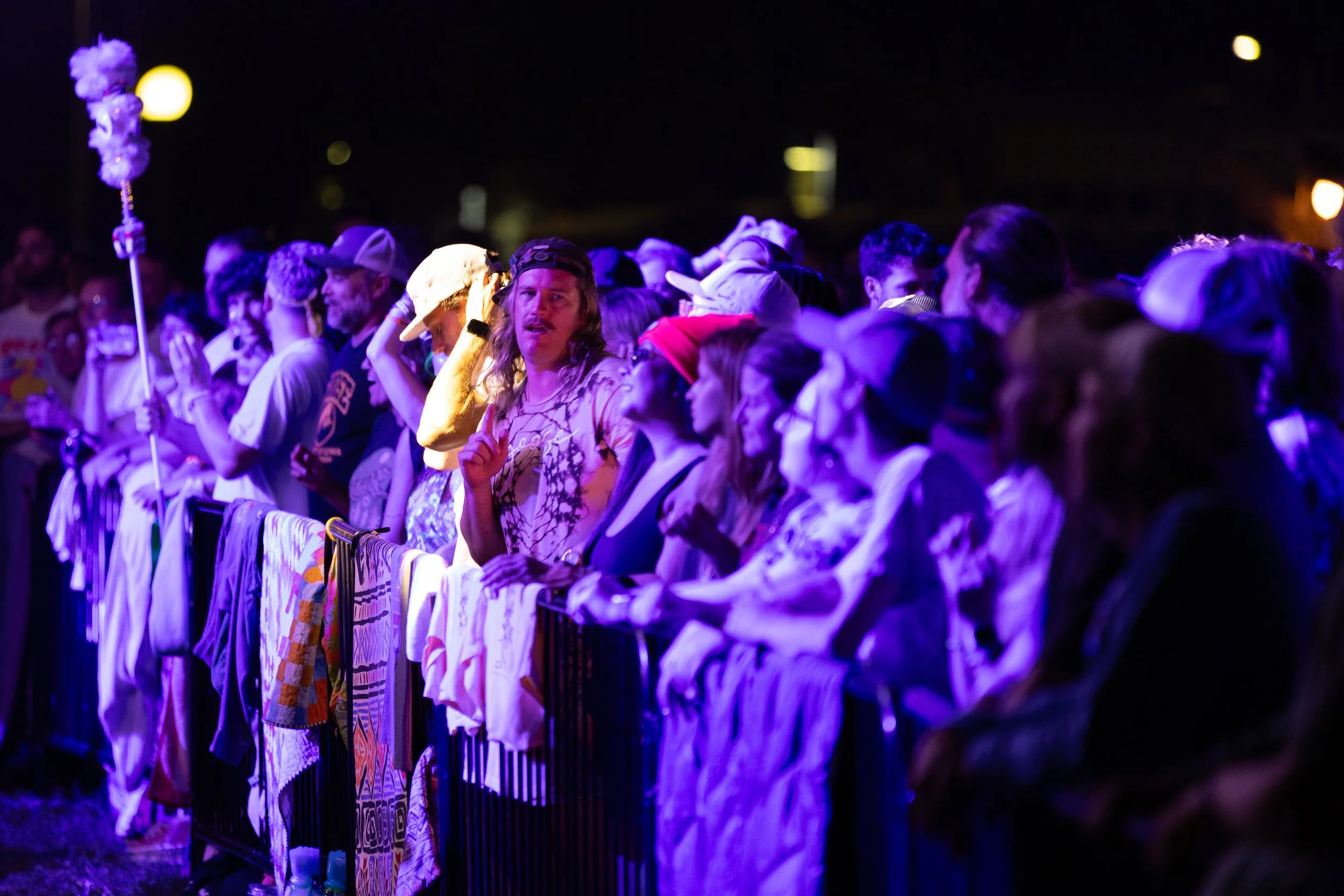 Goose At Hancher-3.jpg