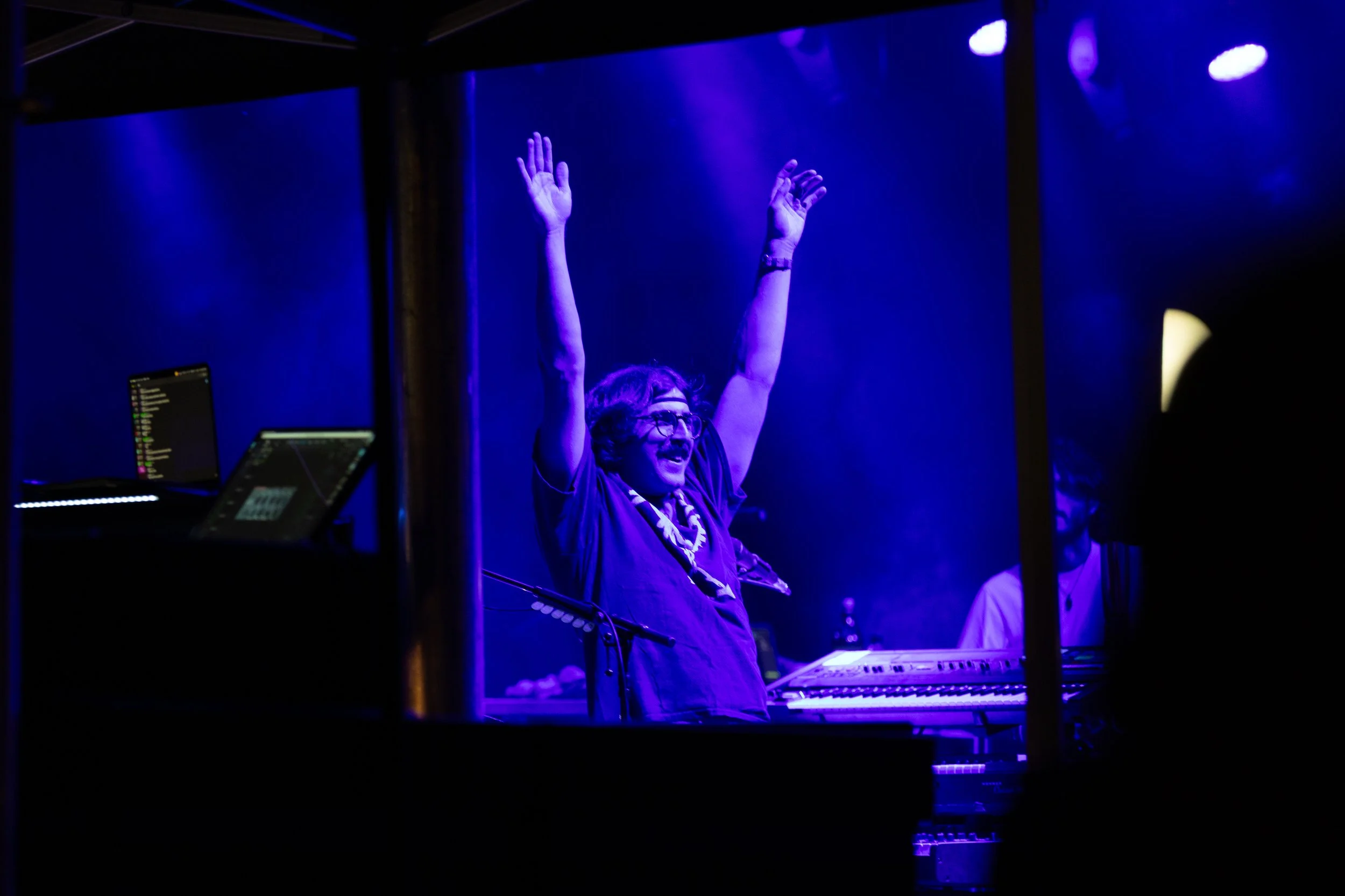 Goose At Hancher-2.jpg