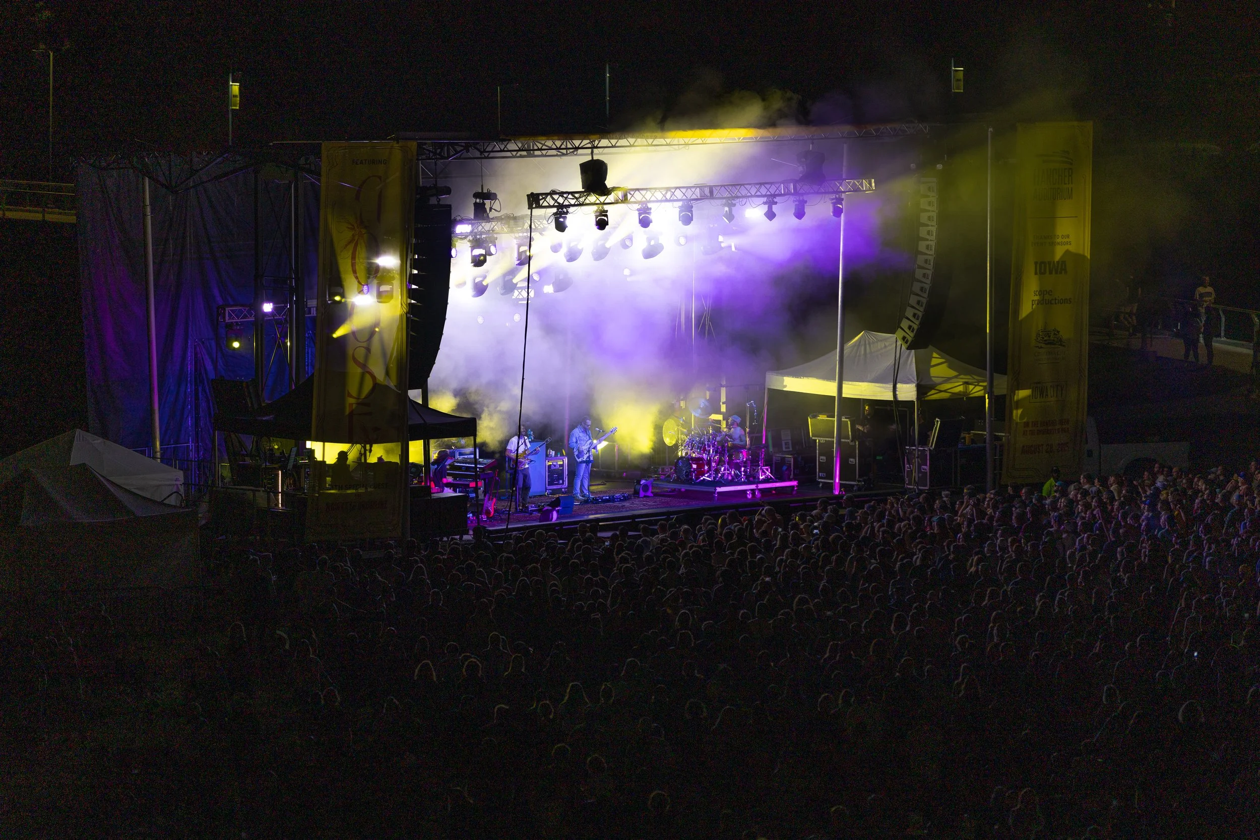 Goose At Hancher-12.jpg