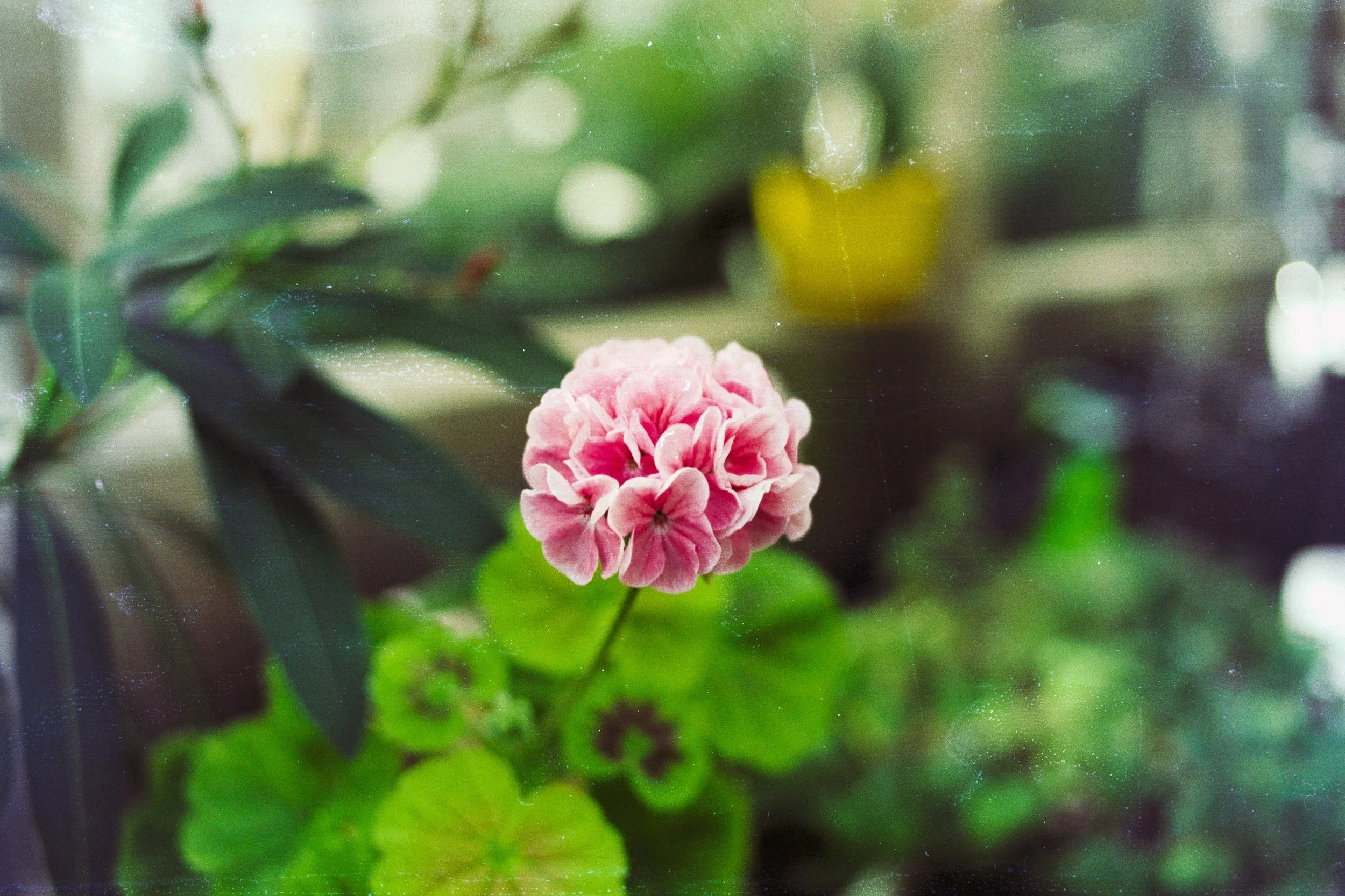 Portfolio 4-14-26-4.jpg