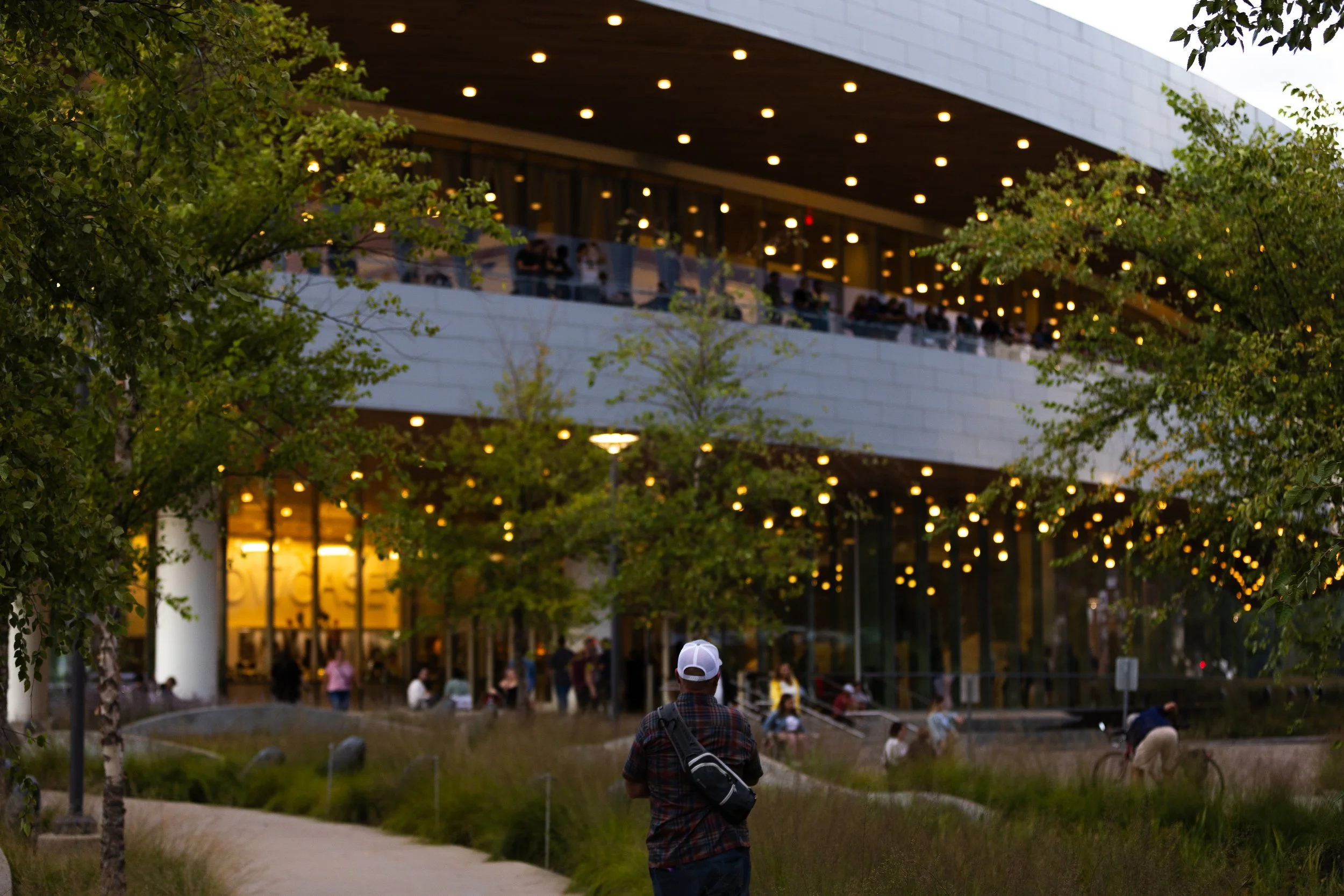 Goose At Hancher-1.jpg