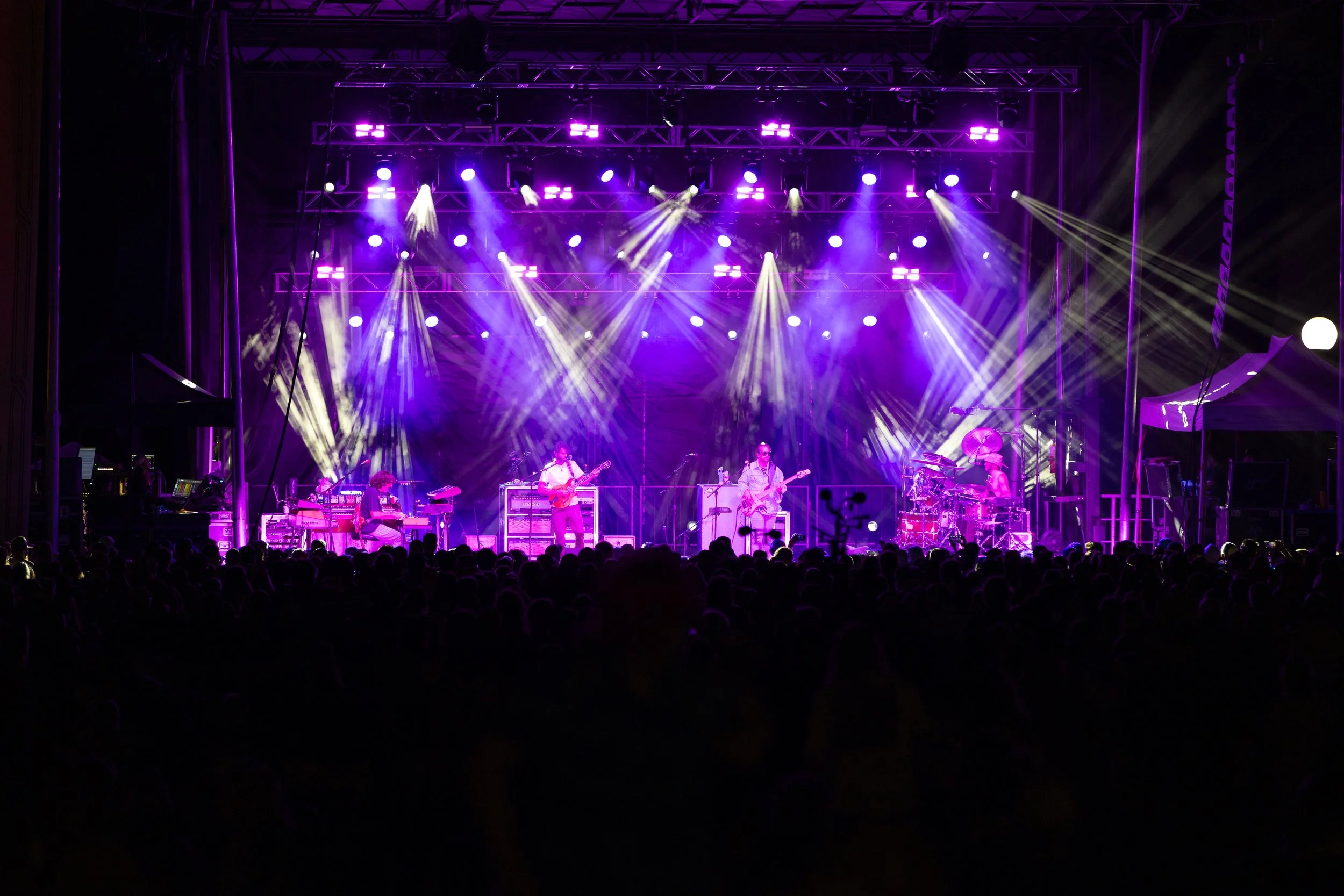 Goose At Hancher-11.jpg