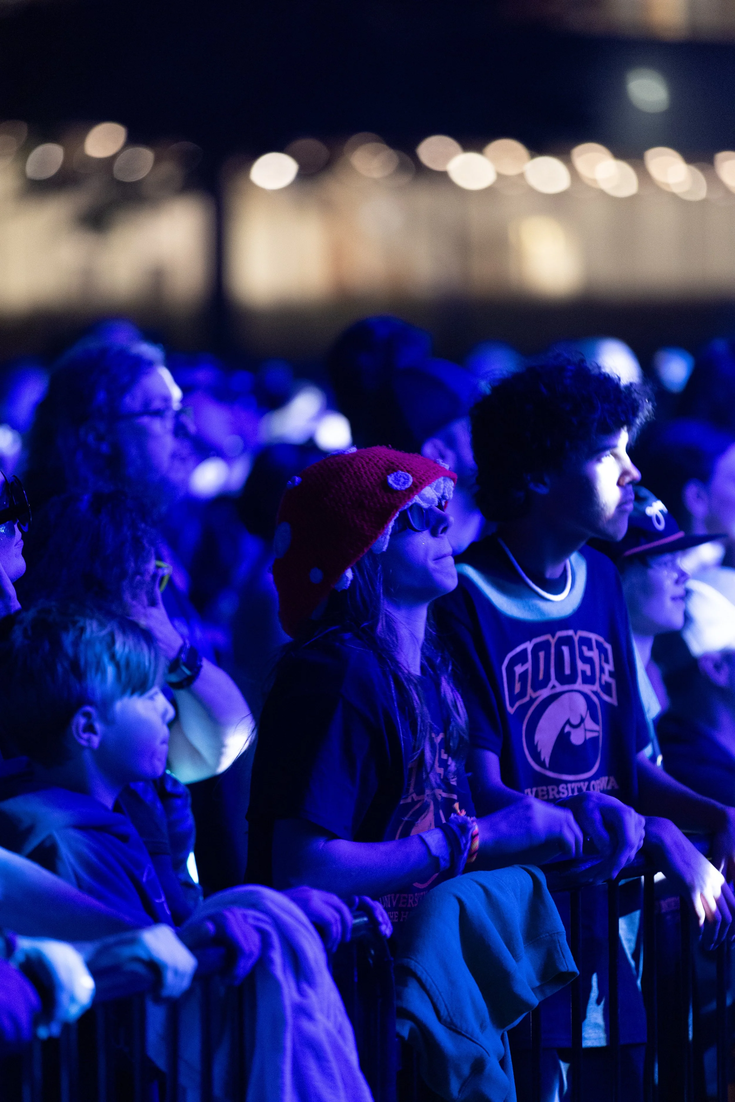 Goose At Hancher-6.jpg