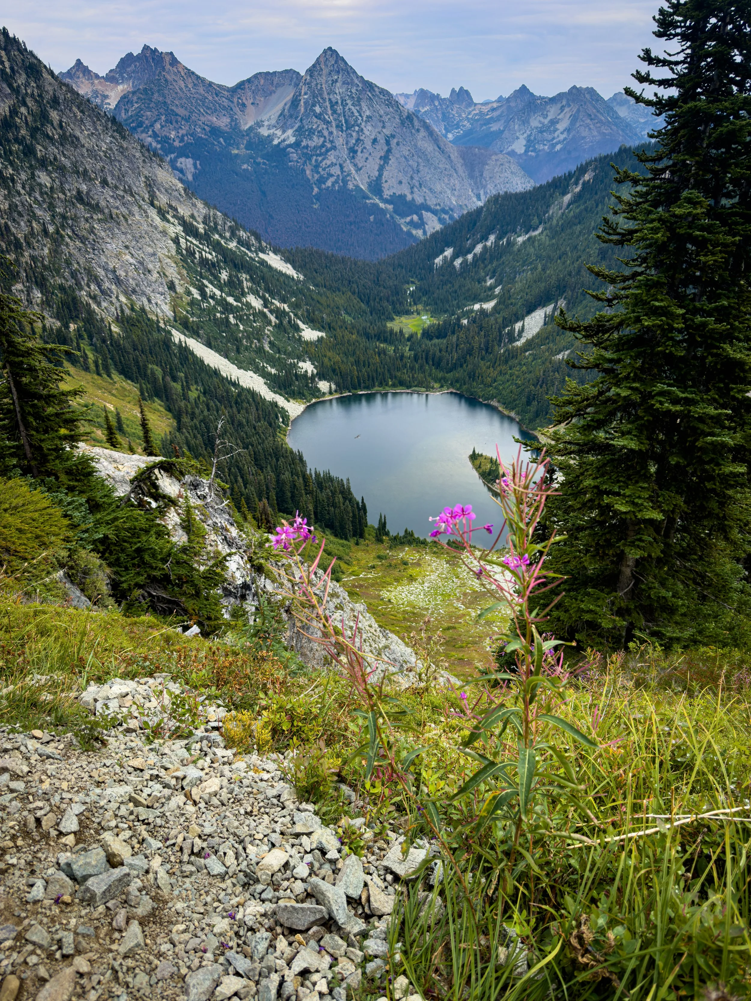 Pink wildflowers beside a rocky trail overlooking an alpine lake and jagged mountain peaks.