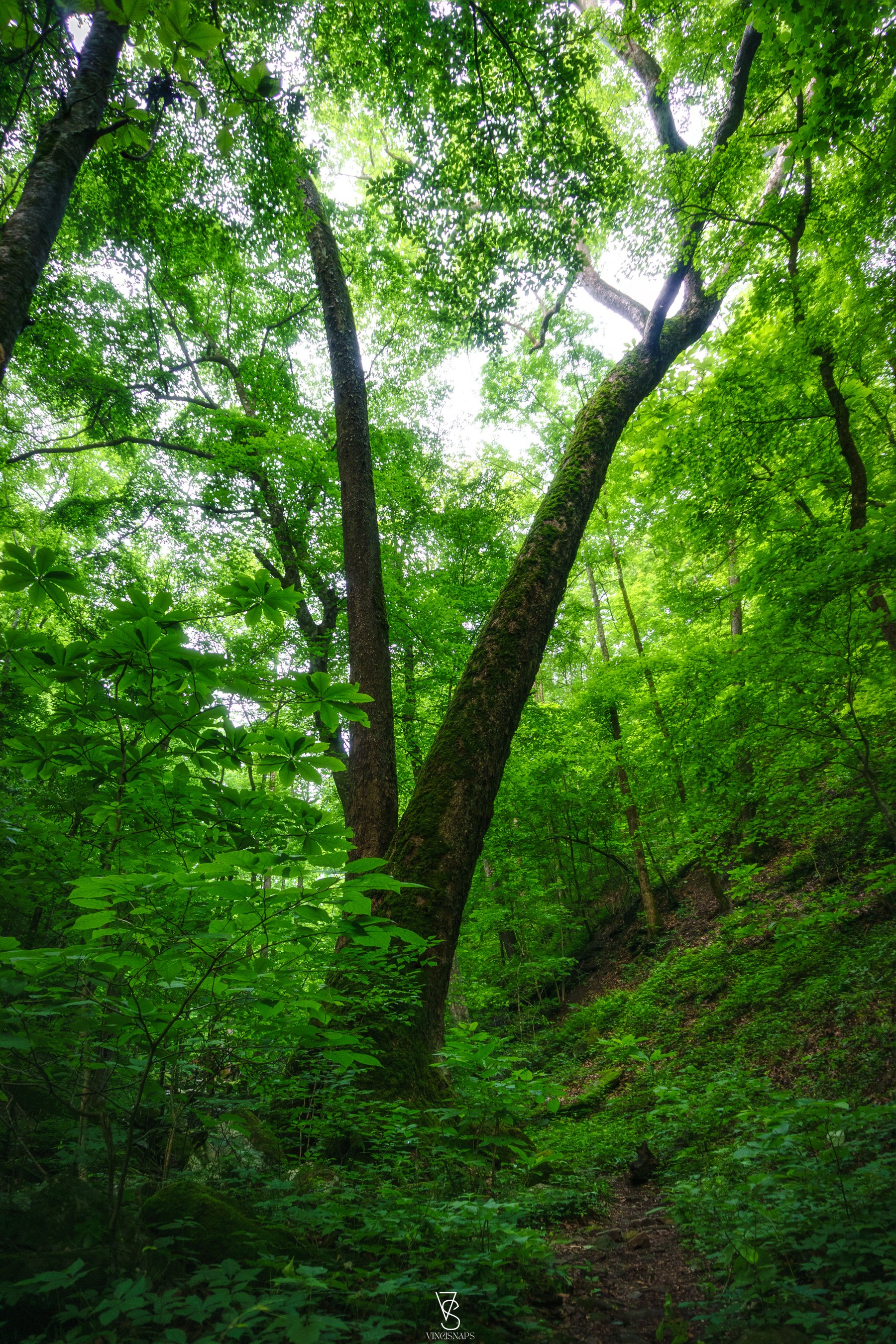 untitled-98.jpg
