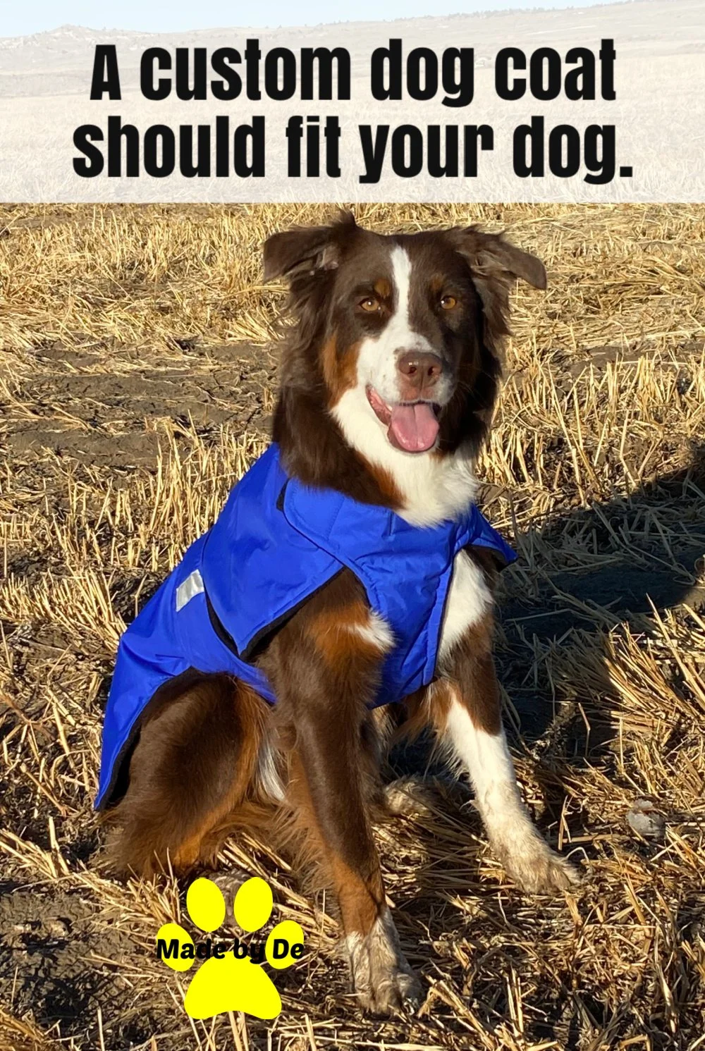 Australian Shepherd in Ultra Winter Dog Coat