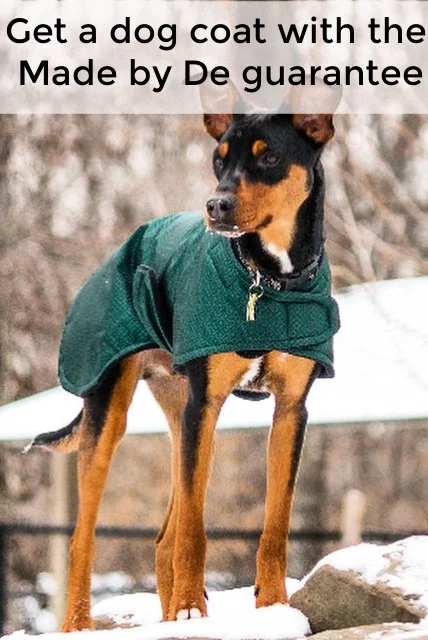 Puppies need coats sometimes, even though they can grow out of them so quickly.