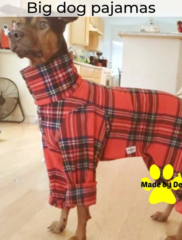 Doberman wearing red plaid pajamas