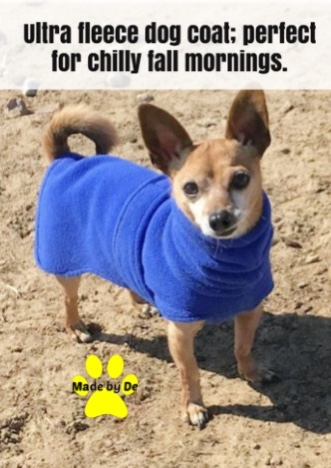 Chihuahua wearing blue Ultra fleece dog coat
