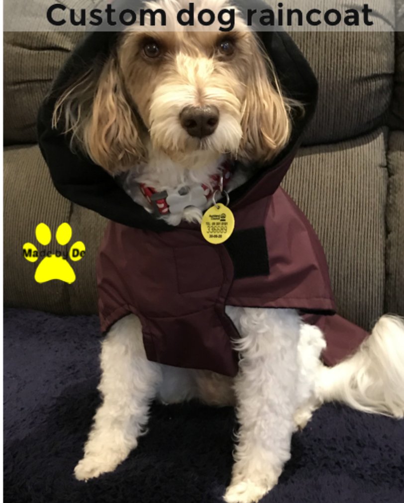 Dog wearing a hooded raincoat sitting on the couch