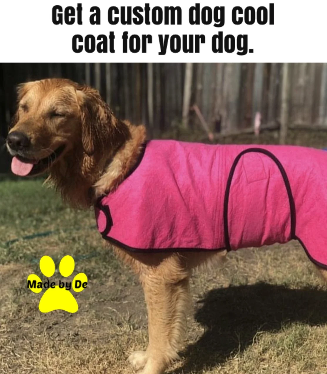 Golden retriever in adjustable dog cool coat