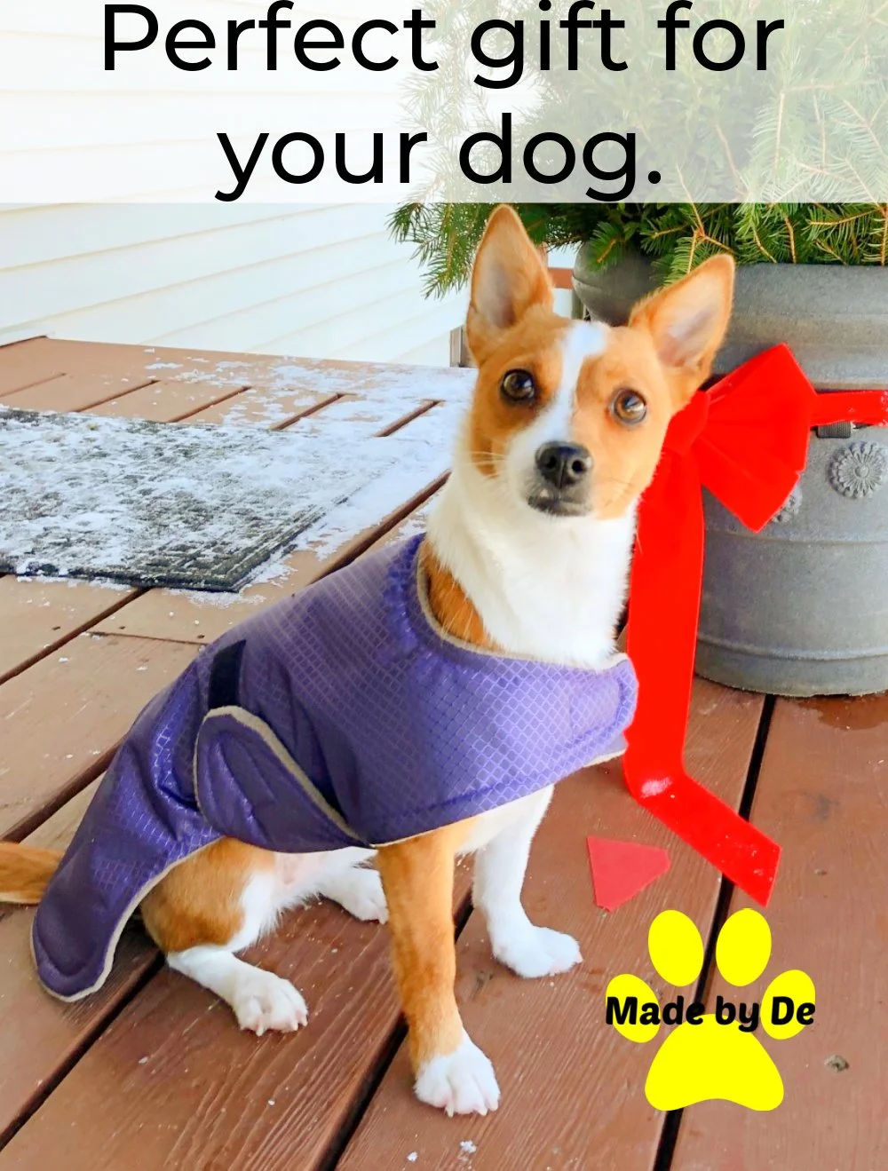 Small dog wearing a custom dog coat