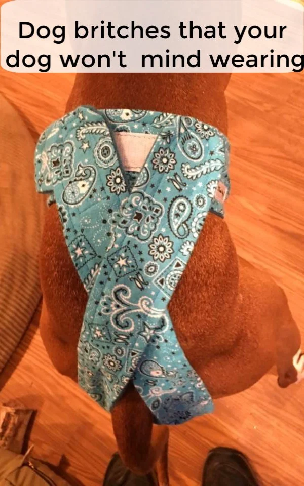 Made by De dog diapers have a unique design that can cross on top to help maintain a closer fit