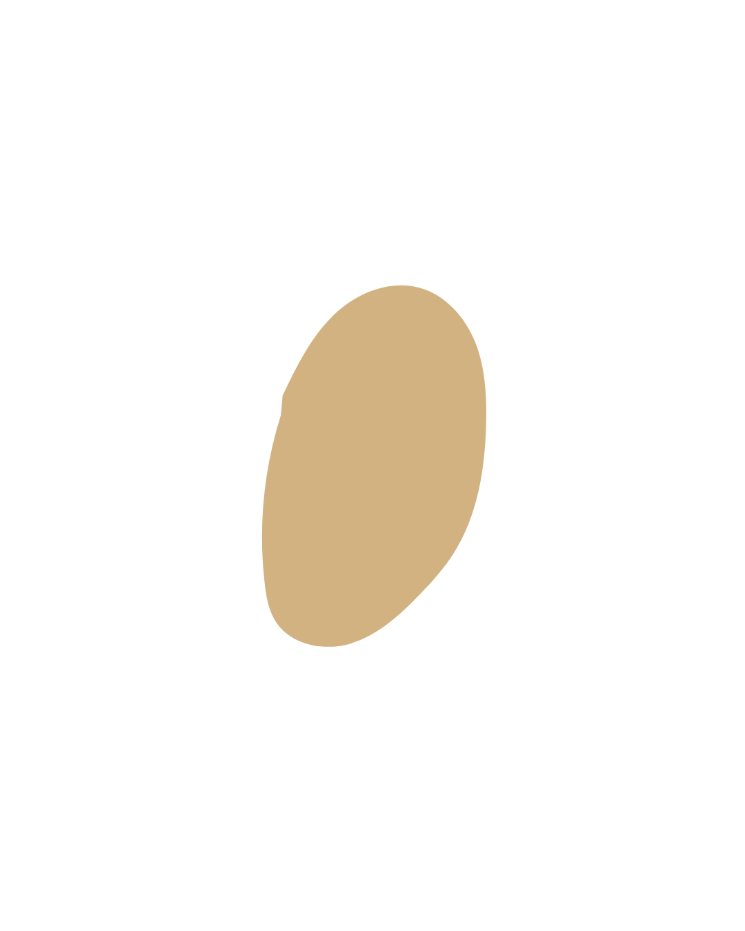 Illustration of a light brown oval-shaped object with a beige circle in the center, against a black background.