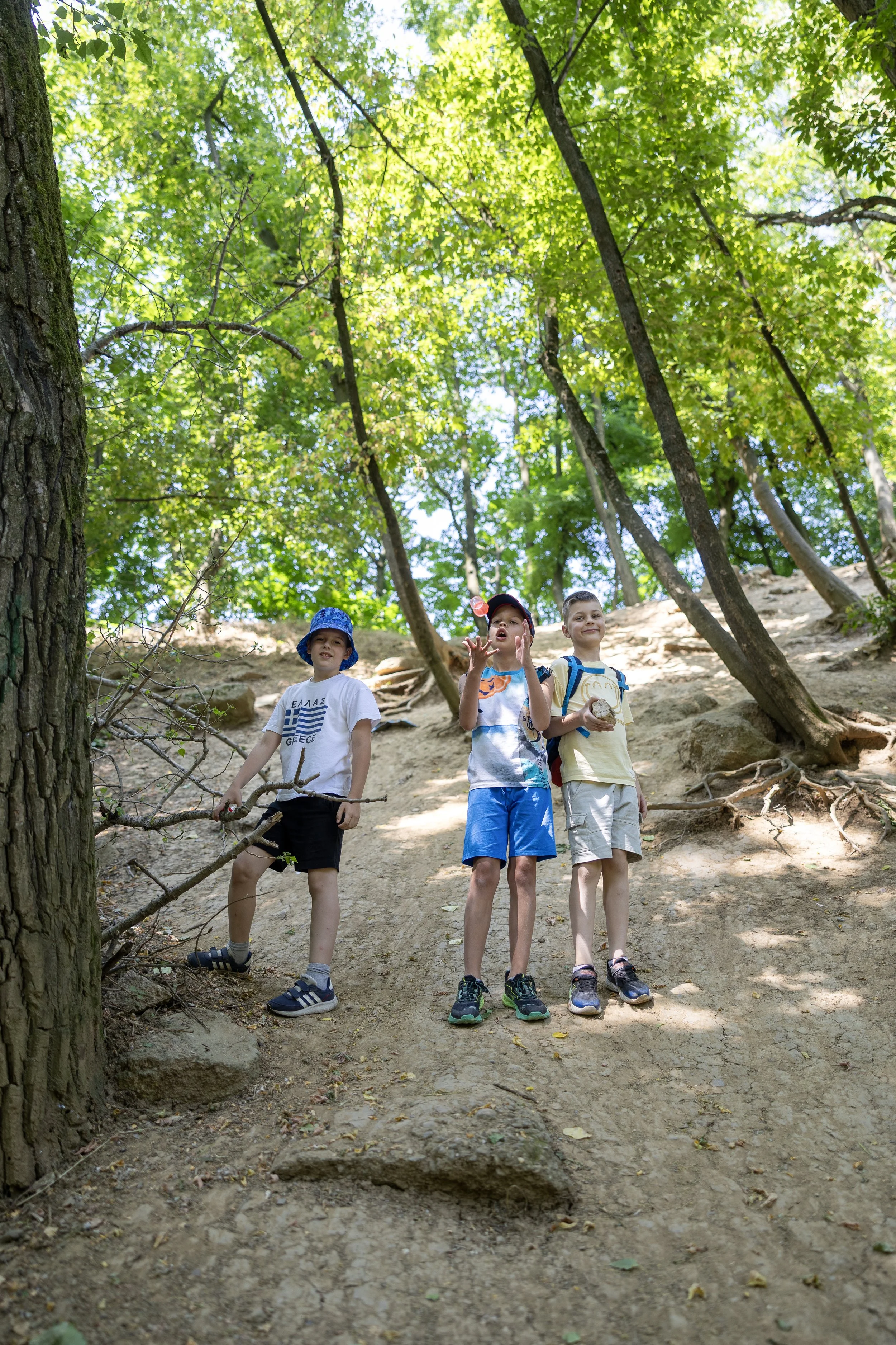 Three boys on a hiking trail in a dense forest, standing on a dirt path surrounded by green trees and sunlight.