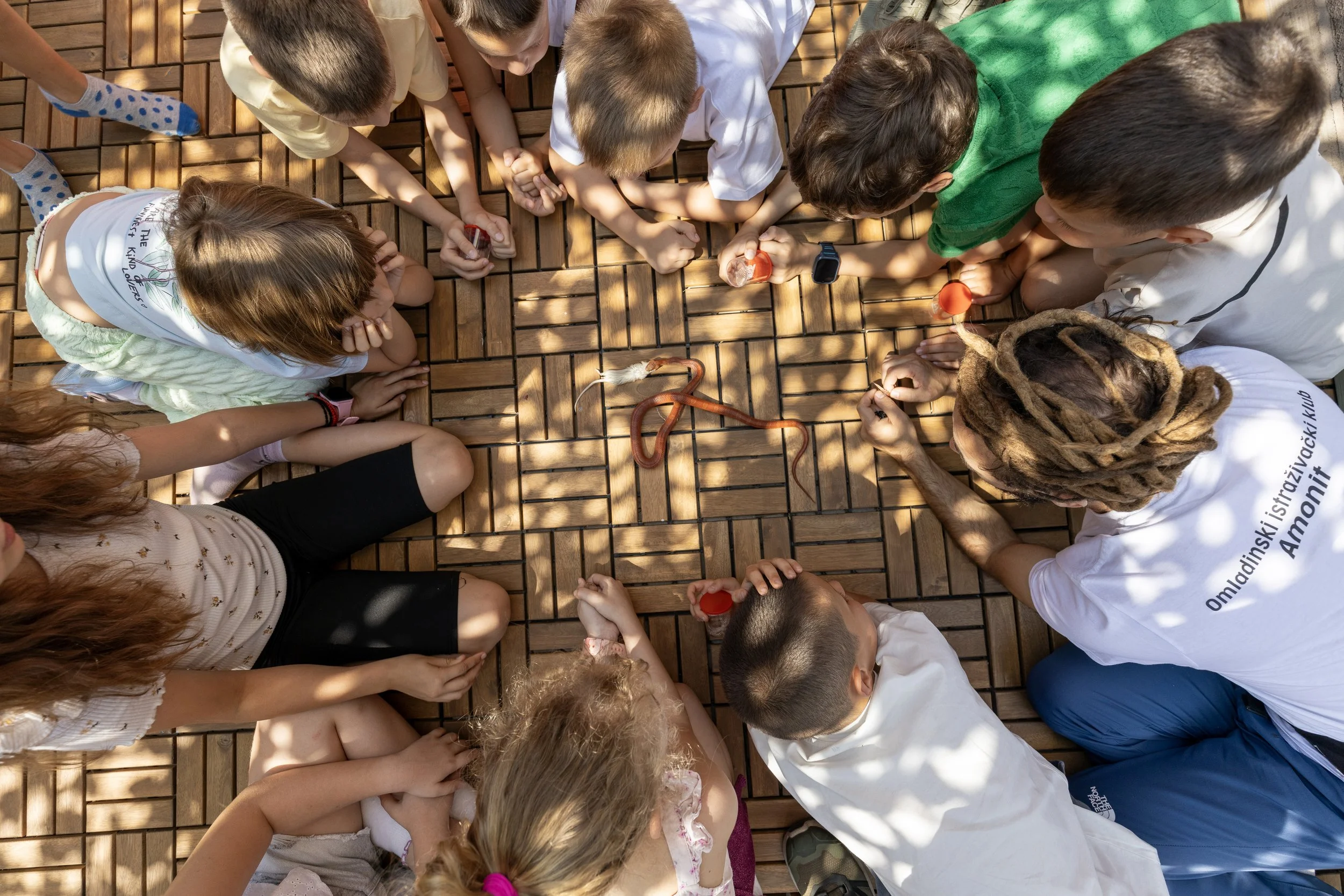 Children gathered around a wooden floor, engaging with small objects and a snake.
