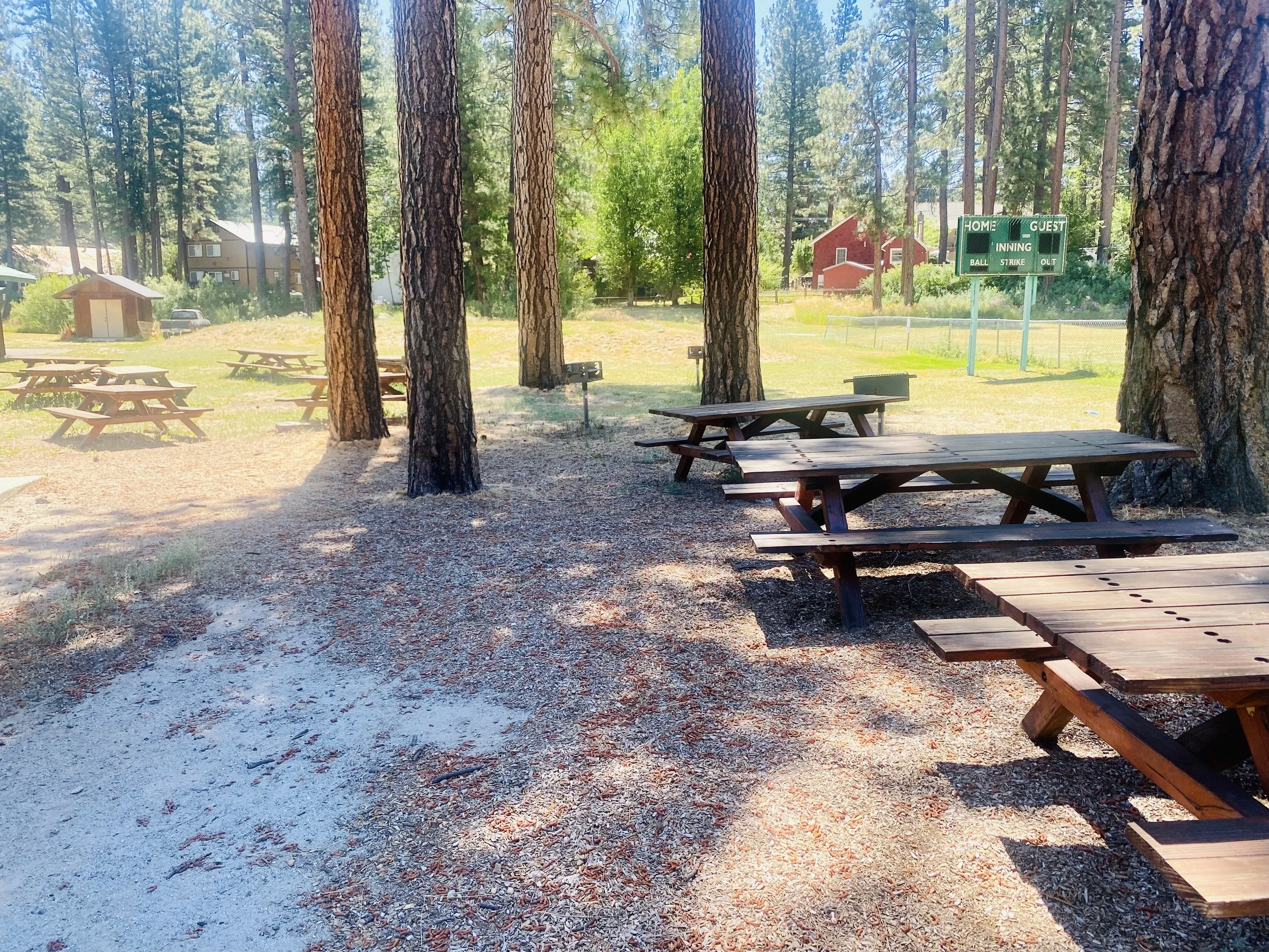 Picnic Area