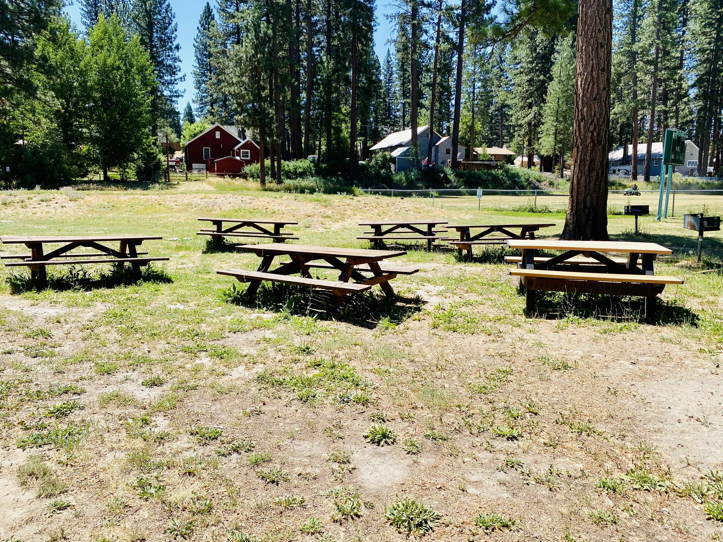 Picnic Area