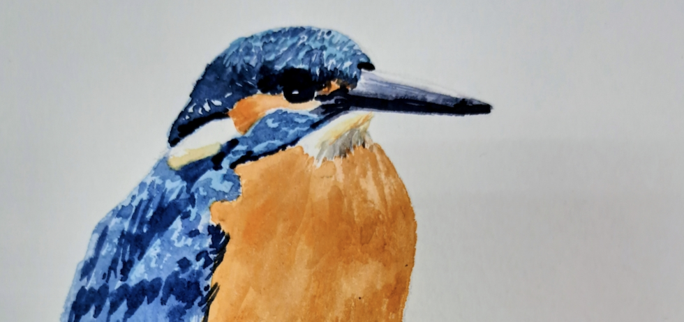 “Histoires Naturelles”