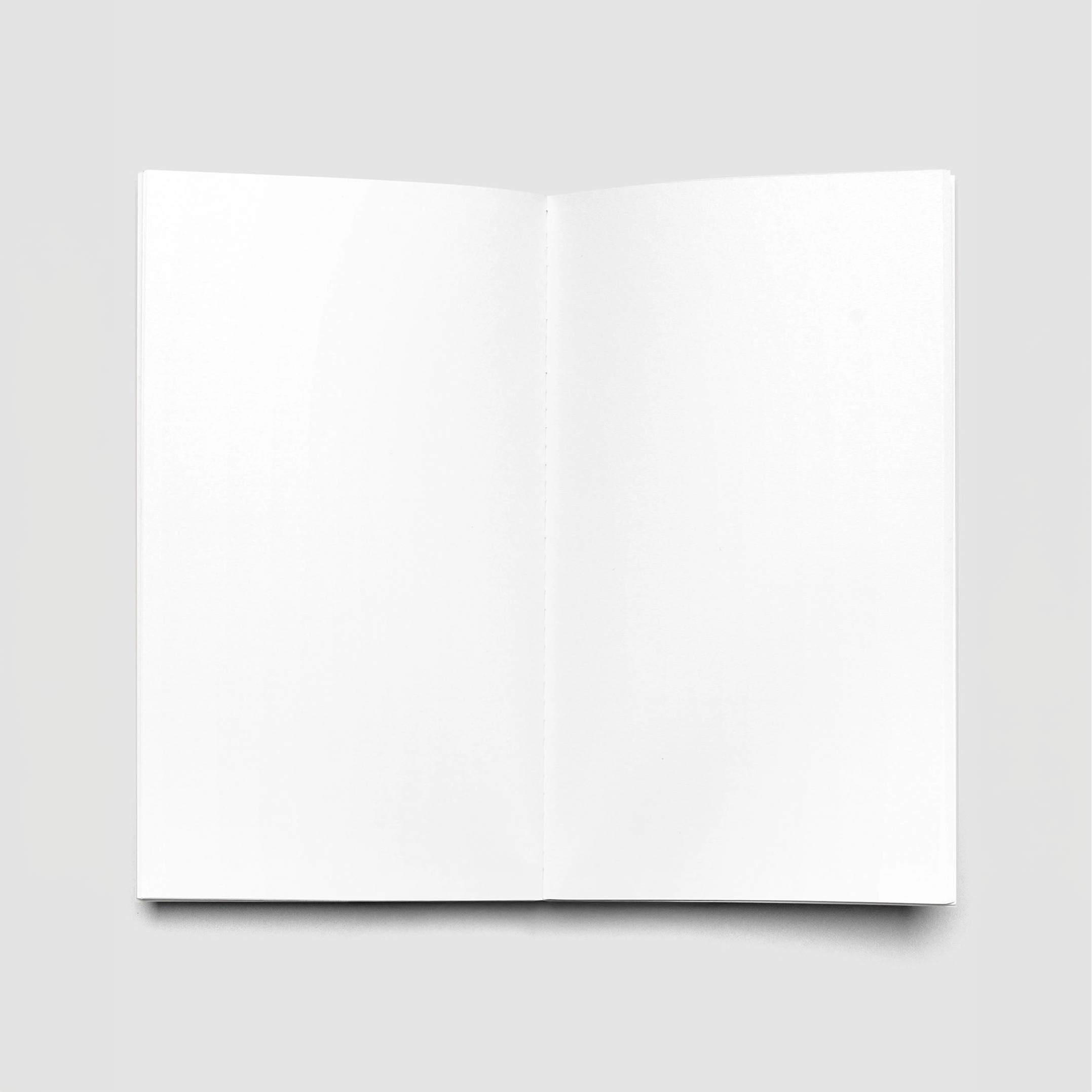 8d7c4fbdda0f994c67a1bf03714fa295b19b1976880b9ca373083fba80adaf78 1.png