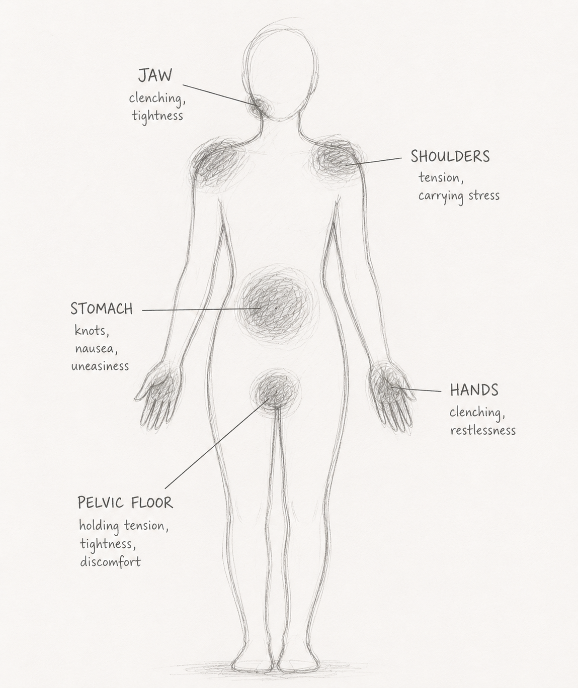 Why You Can't Just "Calm Down": 7 Signs Your Nervous System Is Stuck in Survival Mode