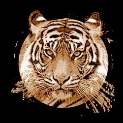 Culture Night @ Central Emerson Elementary, Snohomish