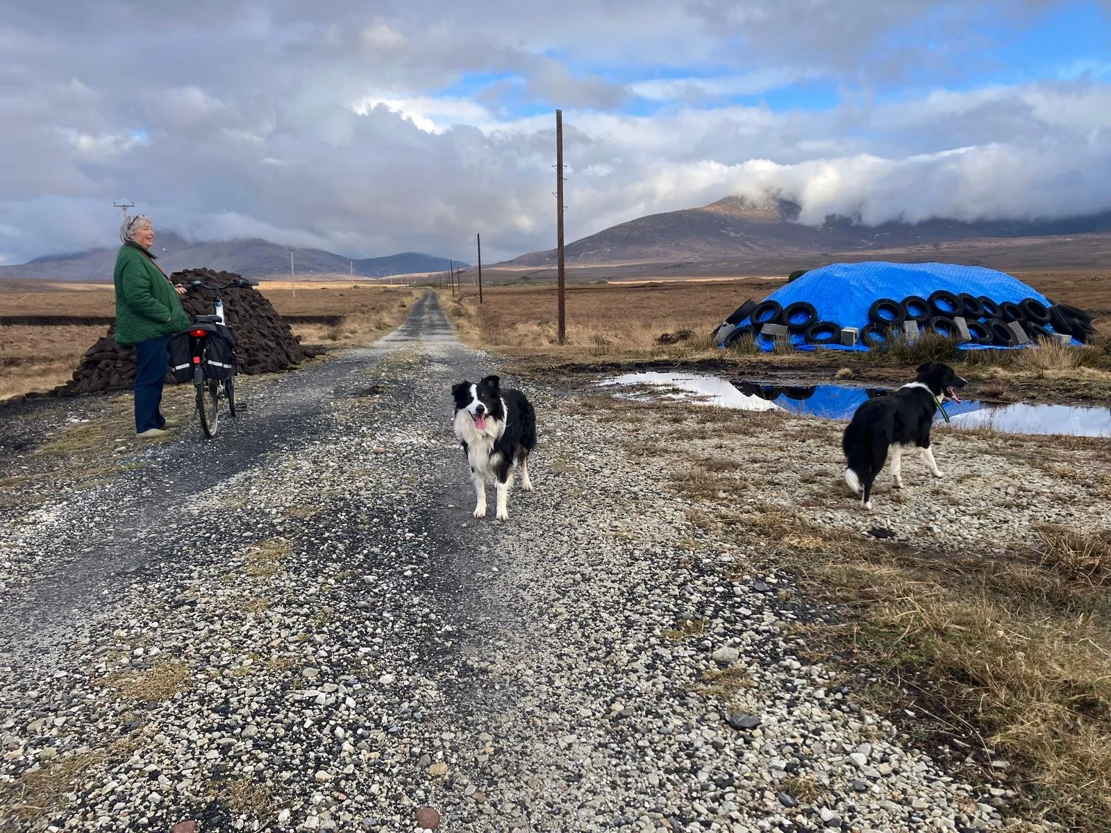 Me dogs and mountains - Copy - Copy.jpeg