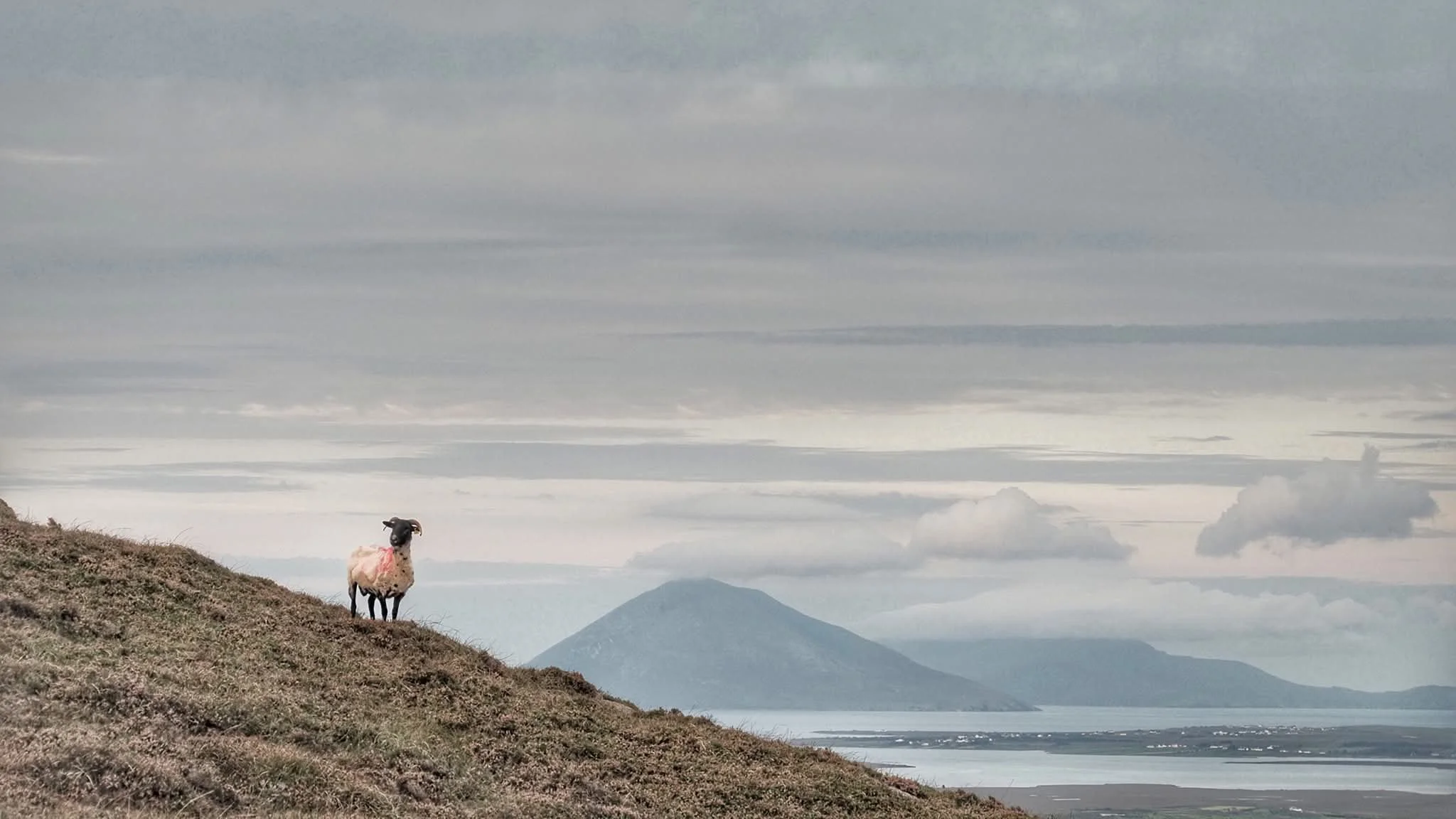 surprise - Copy.jpeg