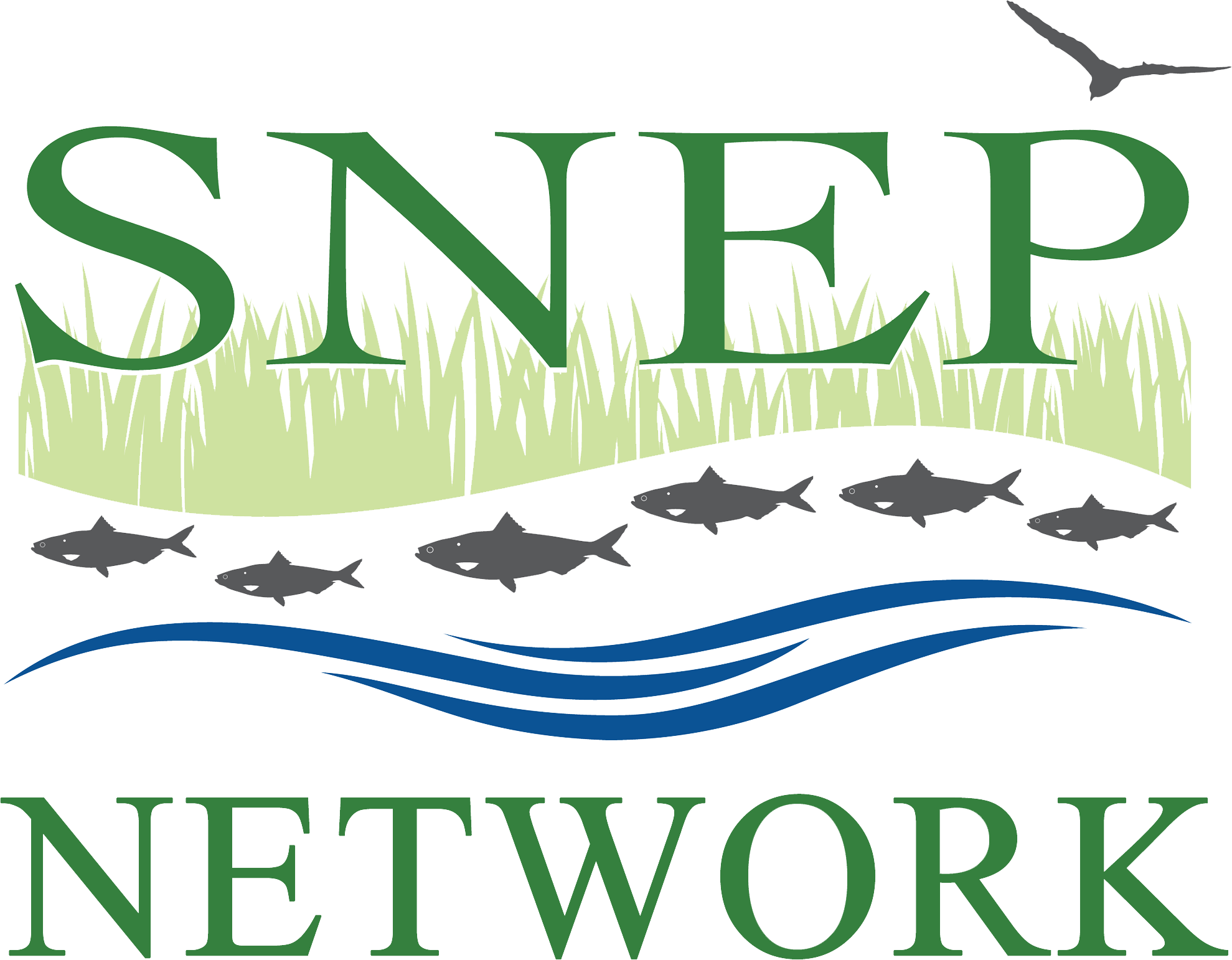 SNEPnetworklogo-highres.png