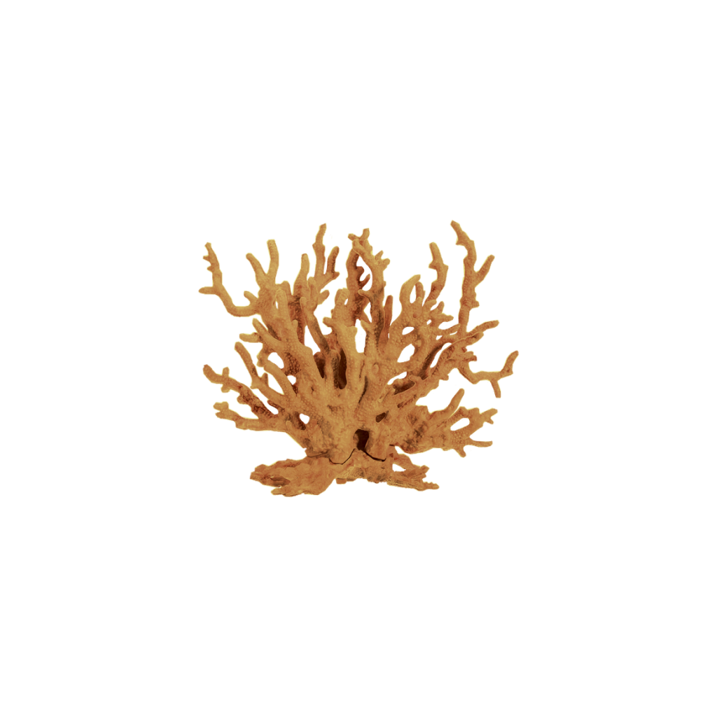 Fauna 02.png