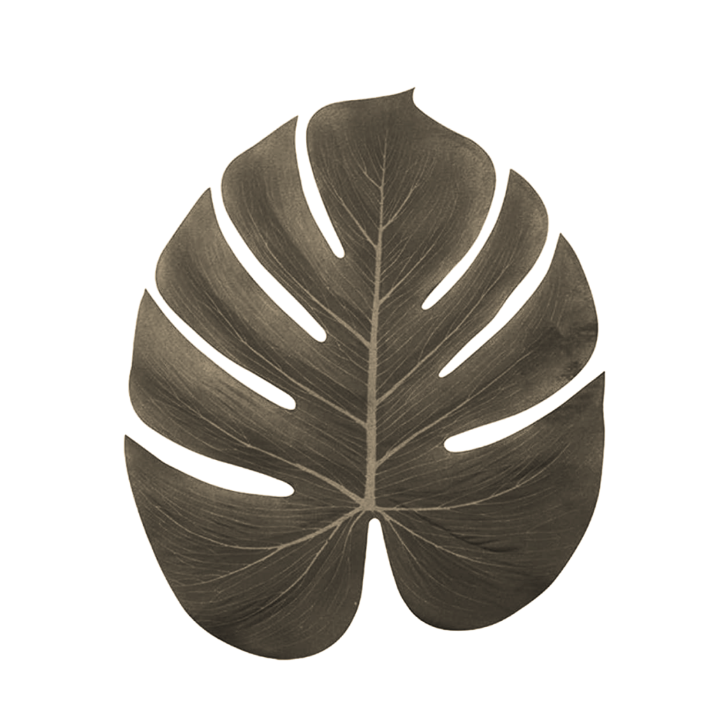 Tropical Plant 04.png