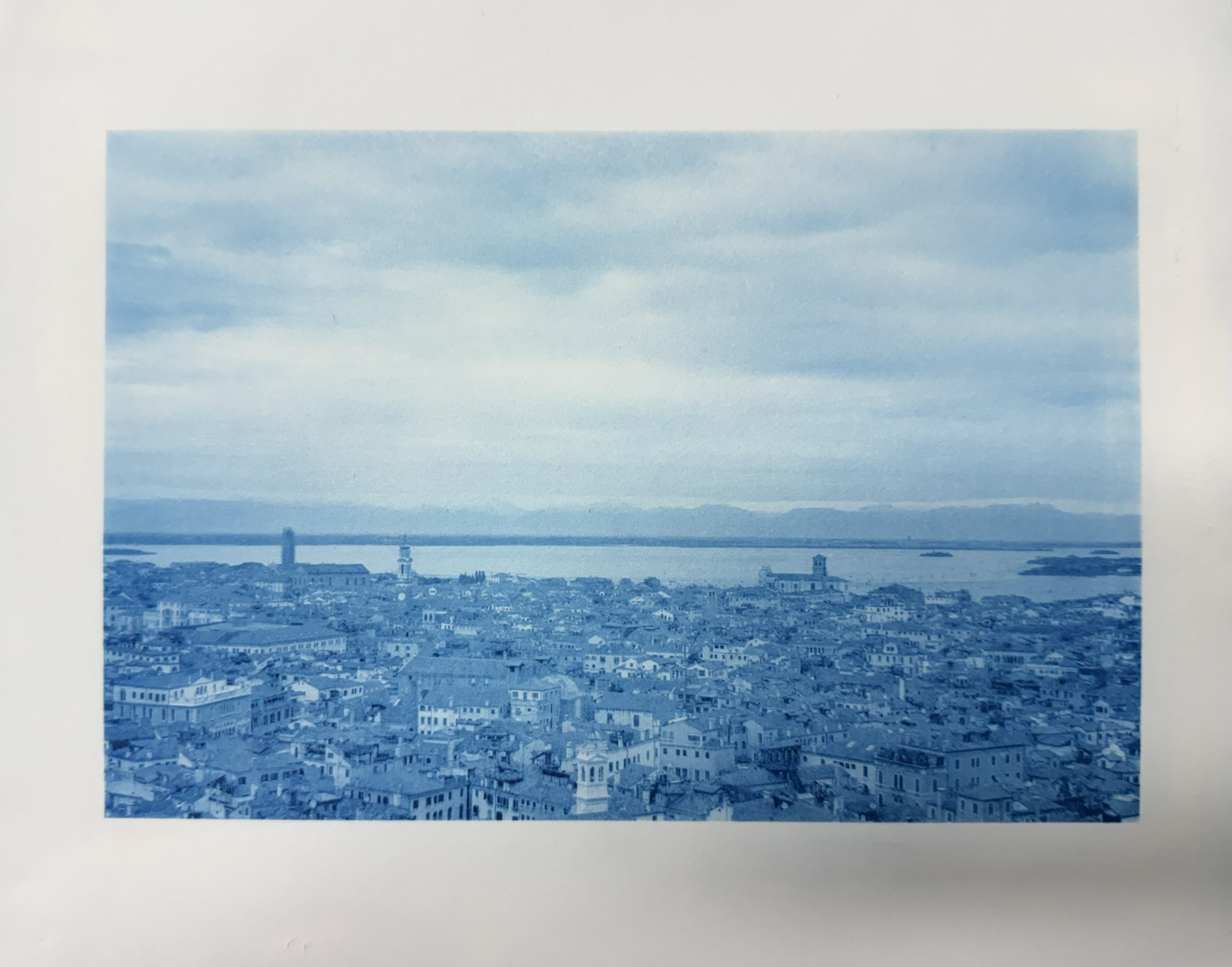 Untitled | Cyanotype