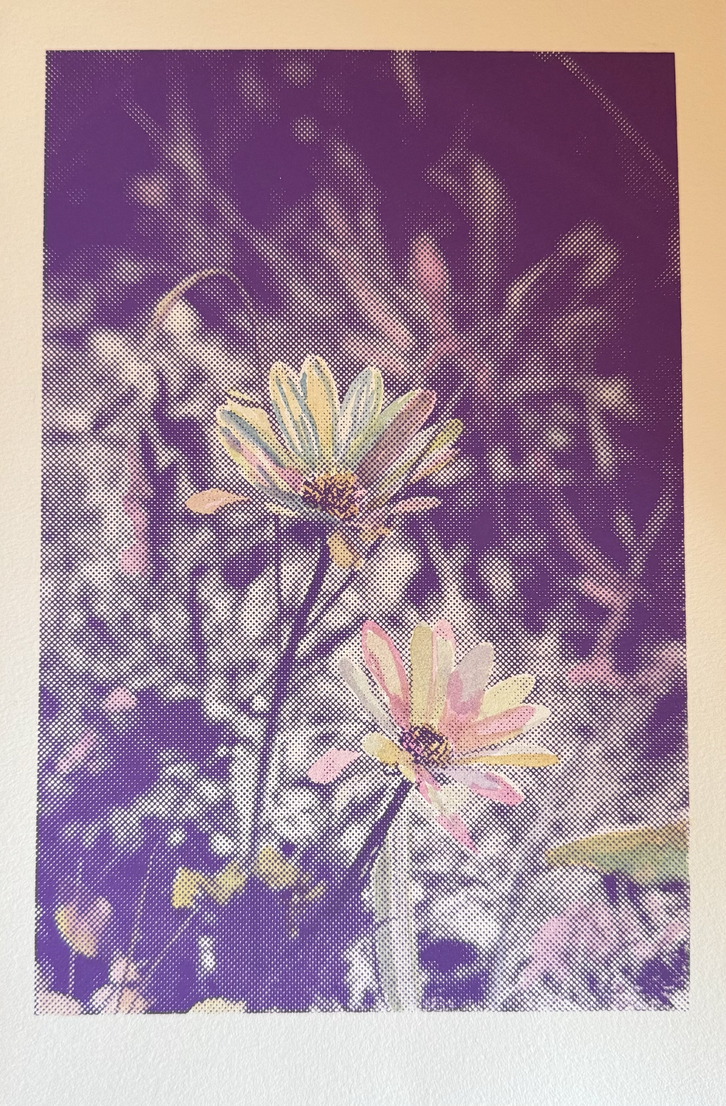 Bloom | Screenprint + water color